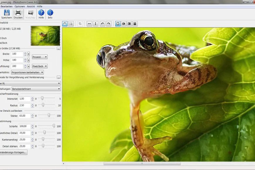 Photo editing software interface displaying frog image on bright green background.