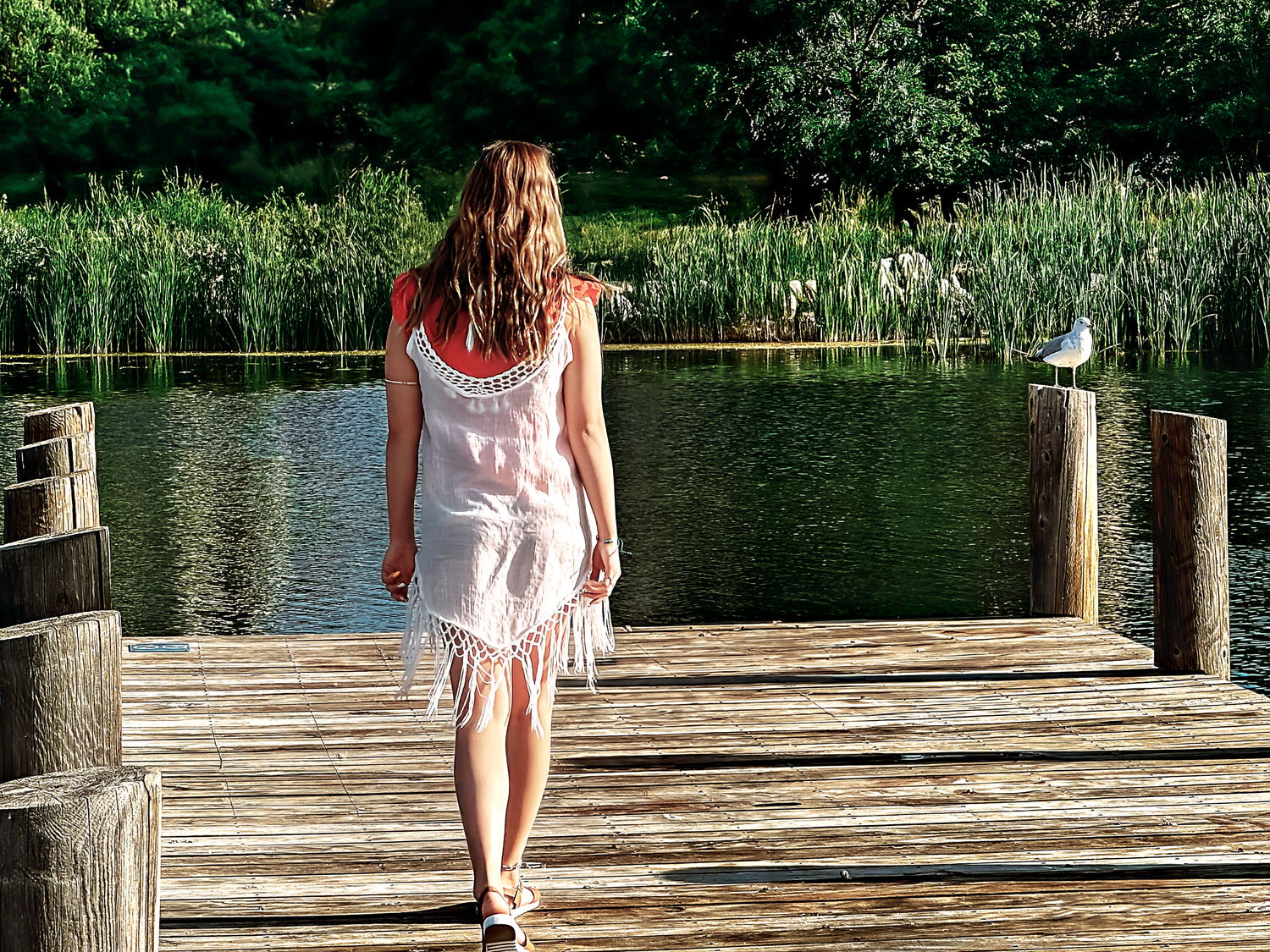 Wooden dock extends over calm lake waters with natural vegetation along shoreline.