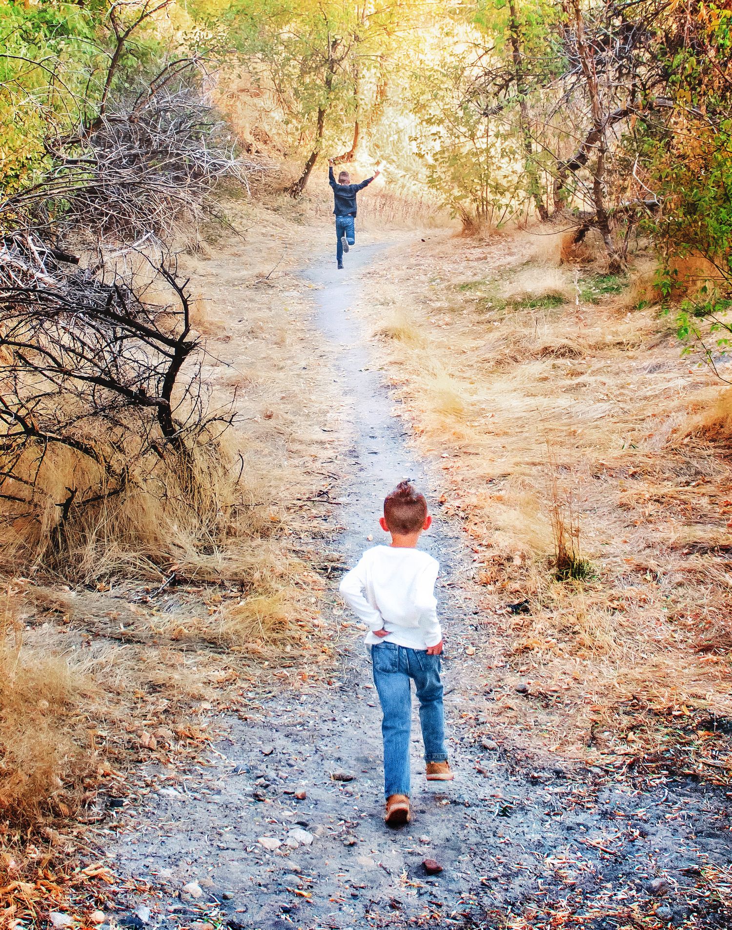 A child walks along a winding dirt path through autumn trees and fallen leaves.
