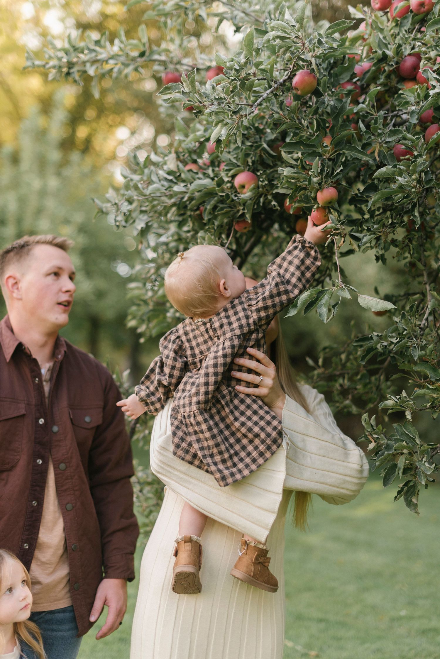 Family enjoying time together under apple trees in an autumn orchard.