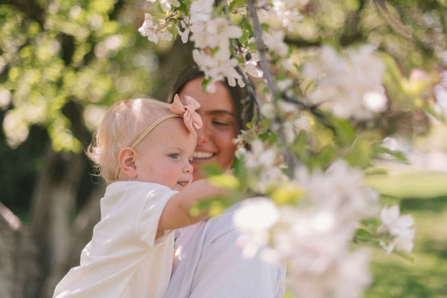 A joyful family moment captured under blooming cherry blossom trees in a sunny outdoor setting.