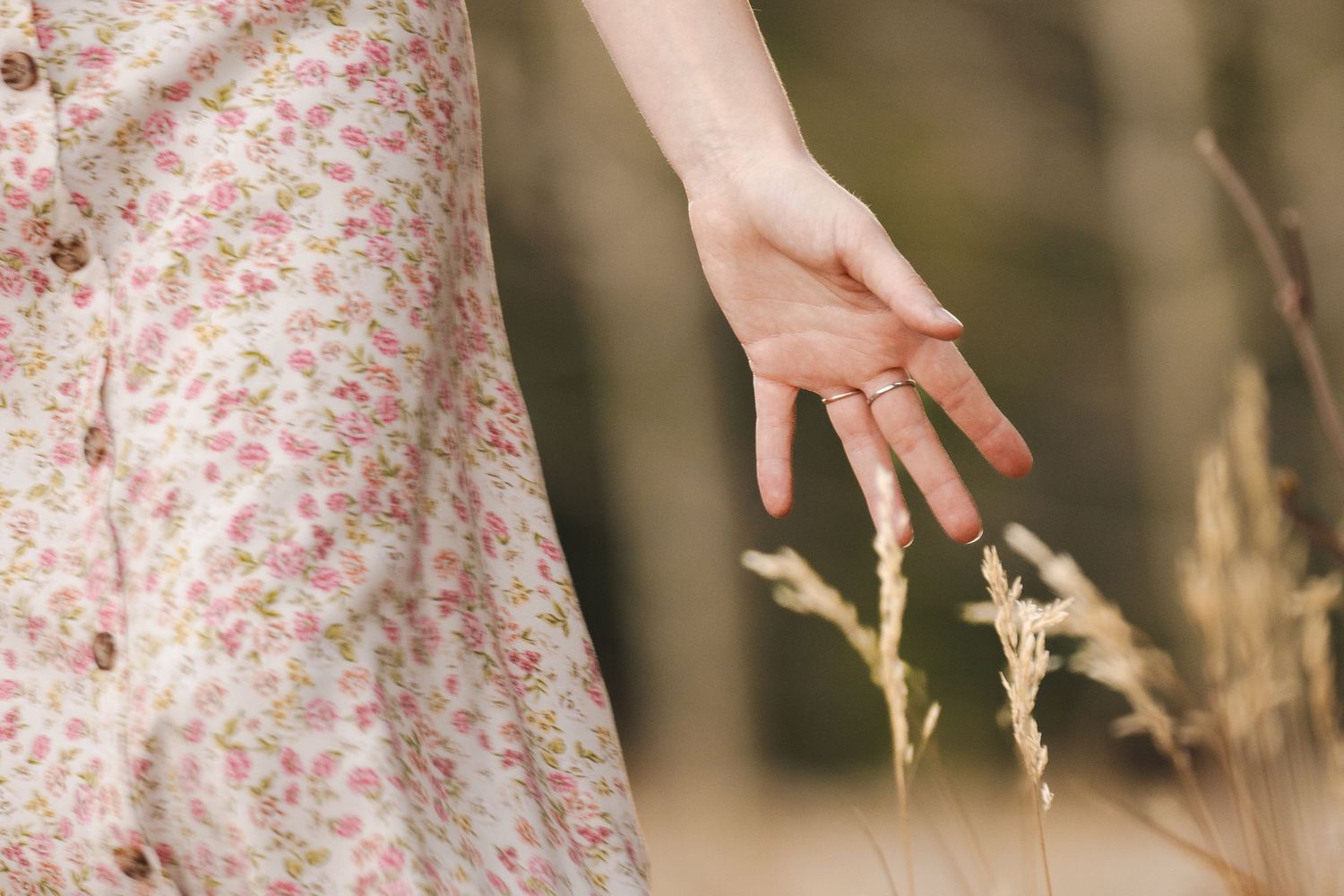 A hand gently touches dried wheat stalks against a soft blurred background.