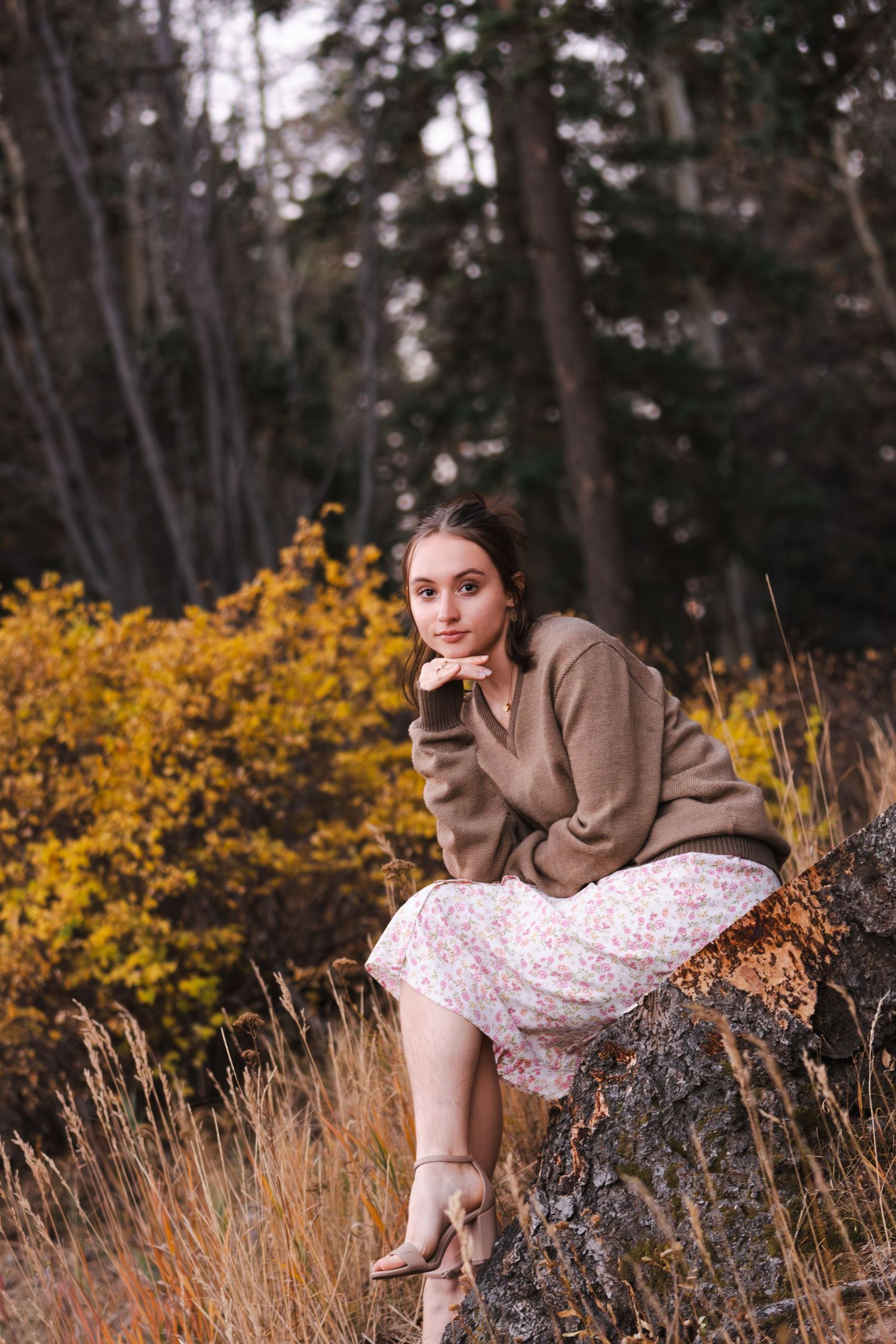 New Mexico Photographer - Graduation