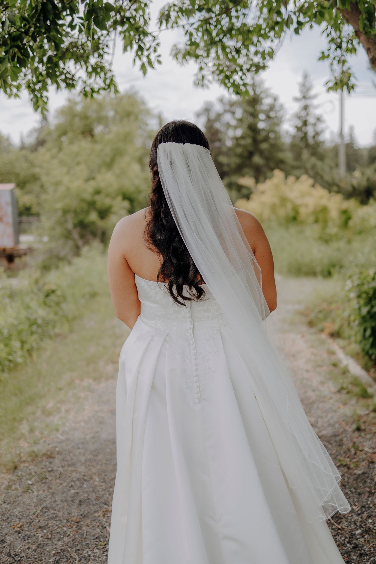 Back view of a flowing white wedding dress and veil against a natural green backdrop.