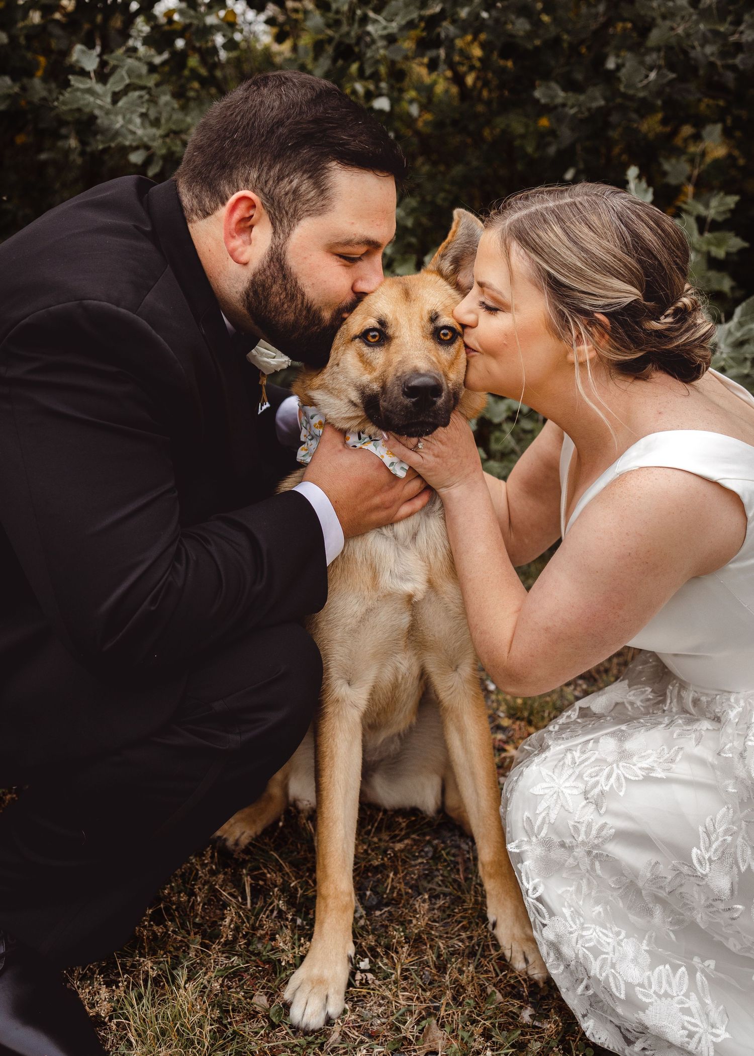 A German Shepherd mix dog gets kisses from a couple in wedding attire during outdoor photos.