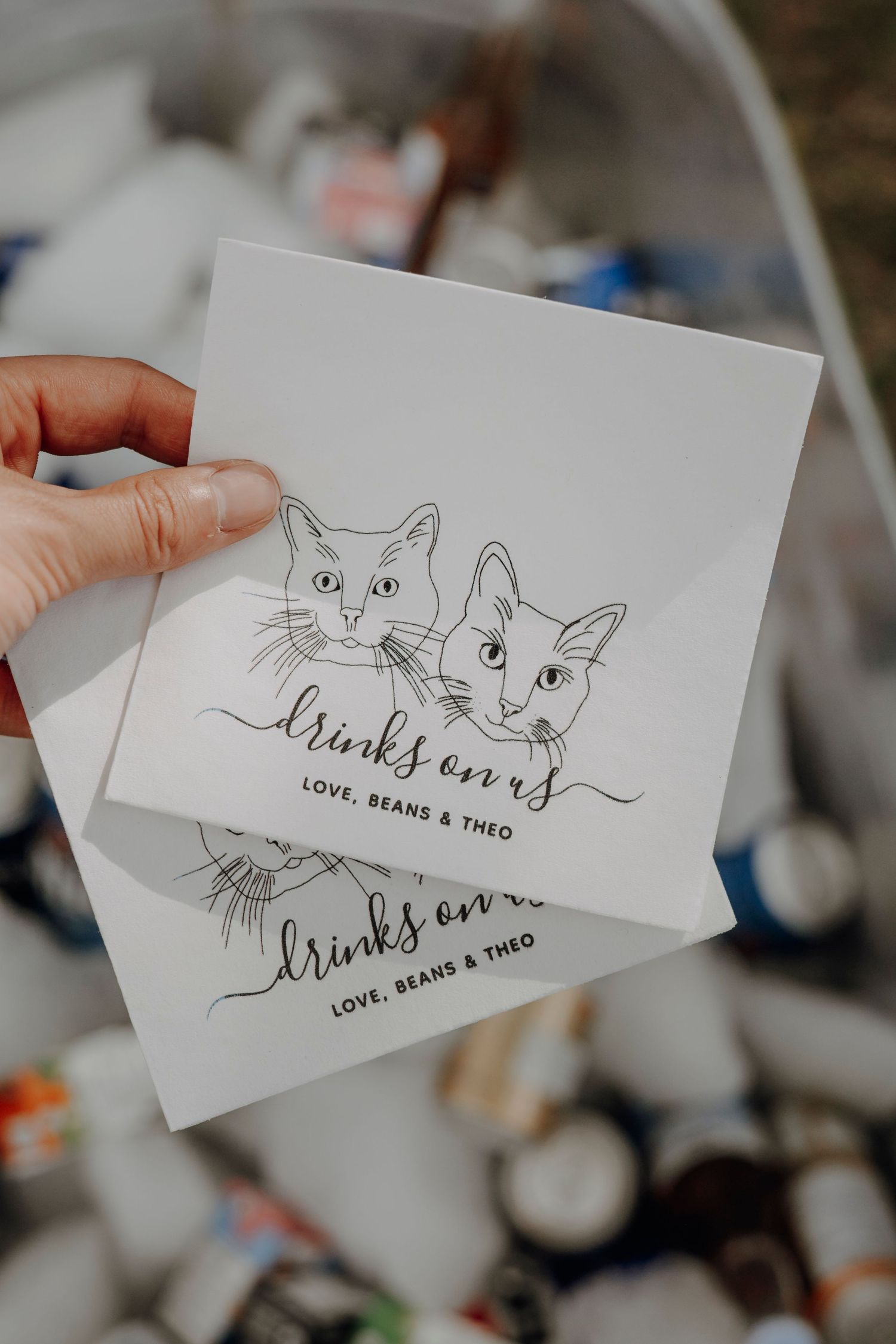 Hand-drawn cat illustrations on white cards with handwritten text.
