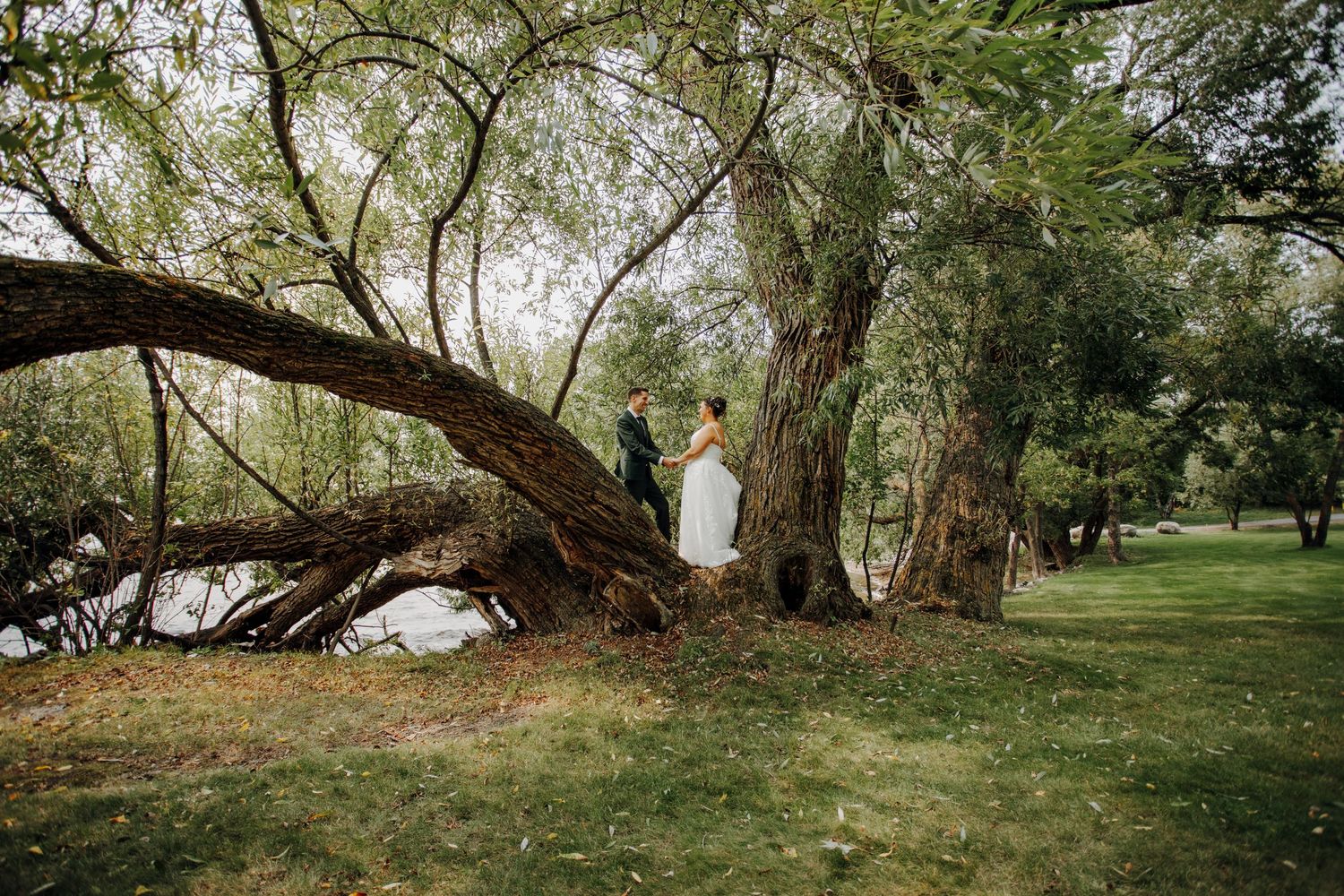 Rustic outdoor wedding venue with natural archways formed by old trees.
