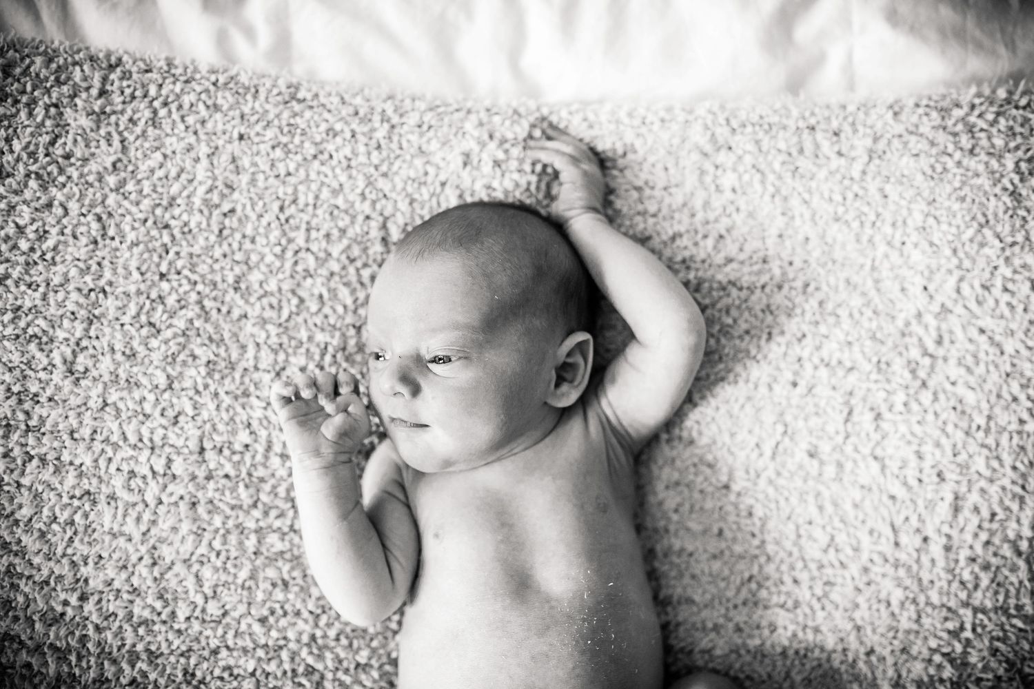 A black and white photo strip showing a sleeping newborn baby in different peaceful poses on textured fabric.