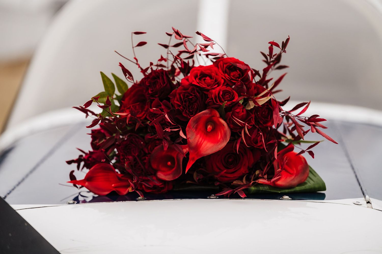 Red floral arrangements with dark burgundy foliage displayed in a row on white surfaces.