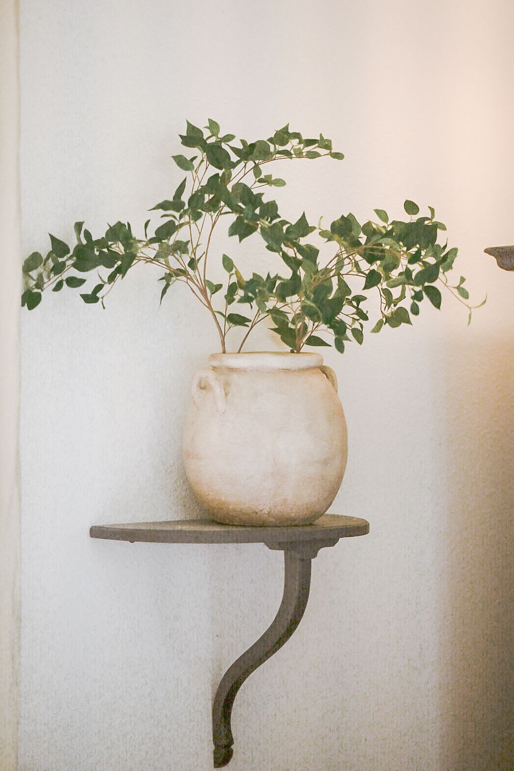 Minimalist wall shelf displaying a white ceramic pot with trailing green ivy leaves against a light neutral background.