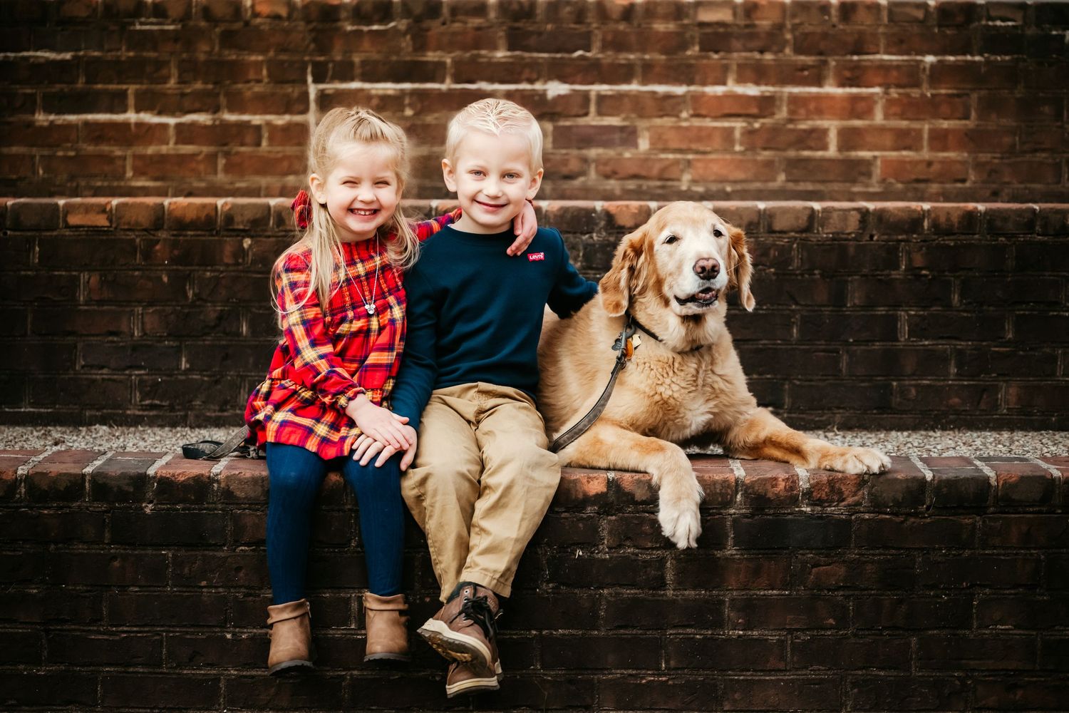 Children and golden retriever sitting together against rustic brick wall.