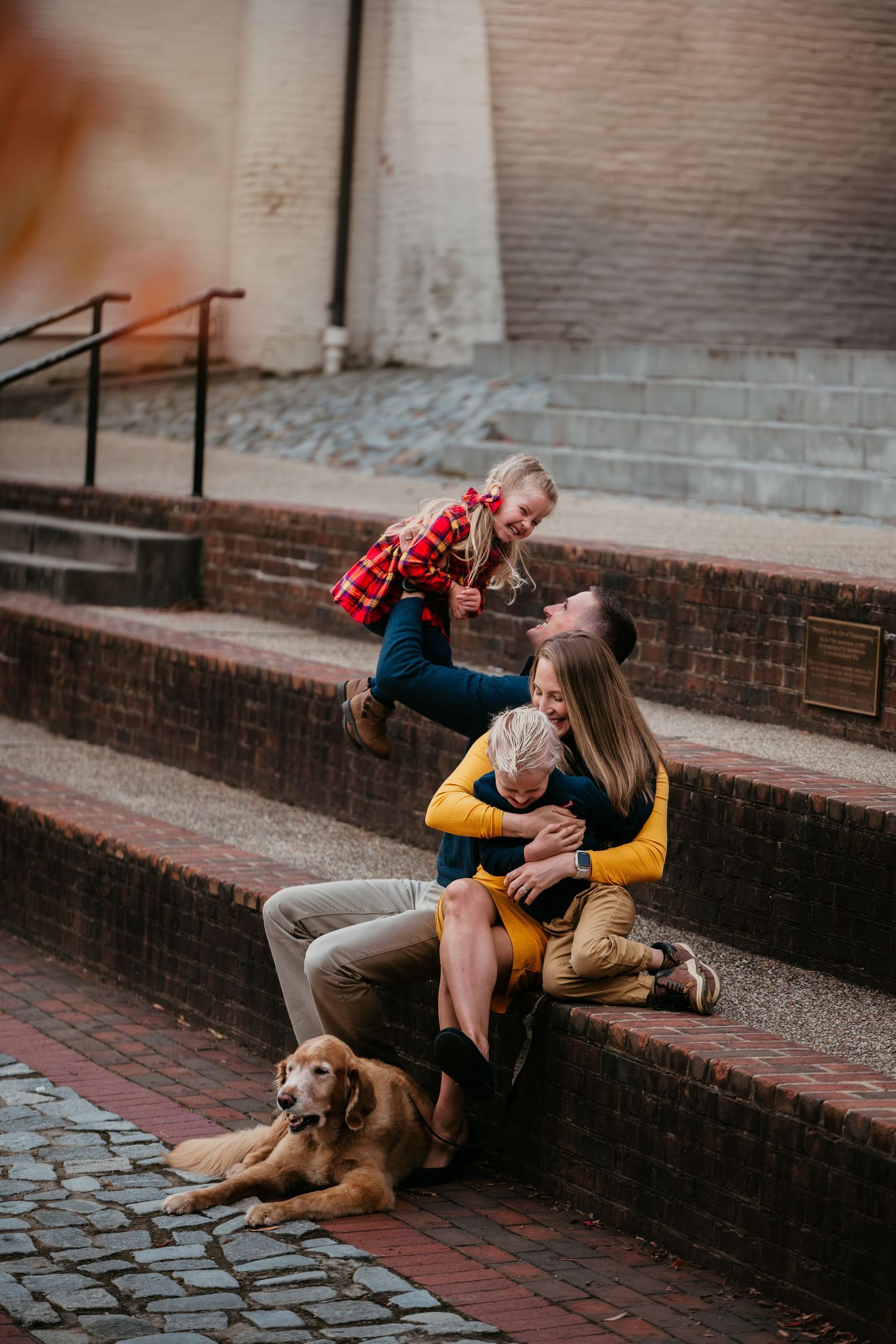 Playful family photoshoot on brick steps with golden retriever dog.