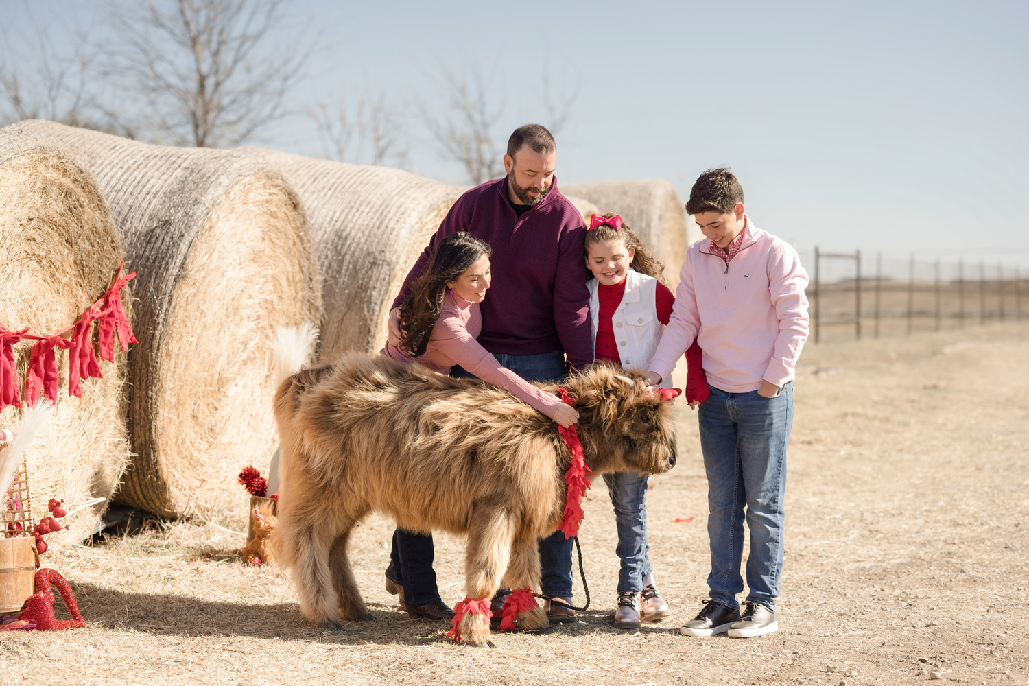 People stand with a large brown dog wearing red accessories next to round hay bales in a rural field.