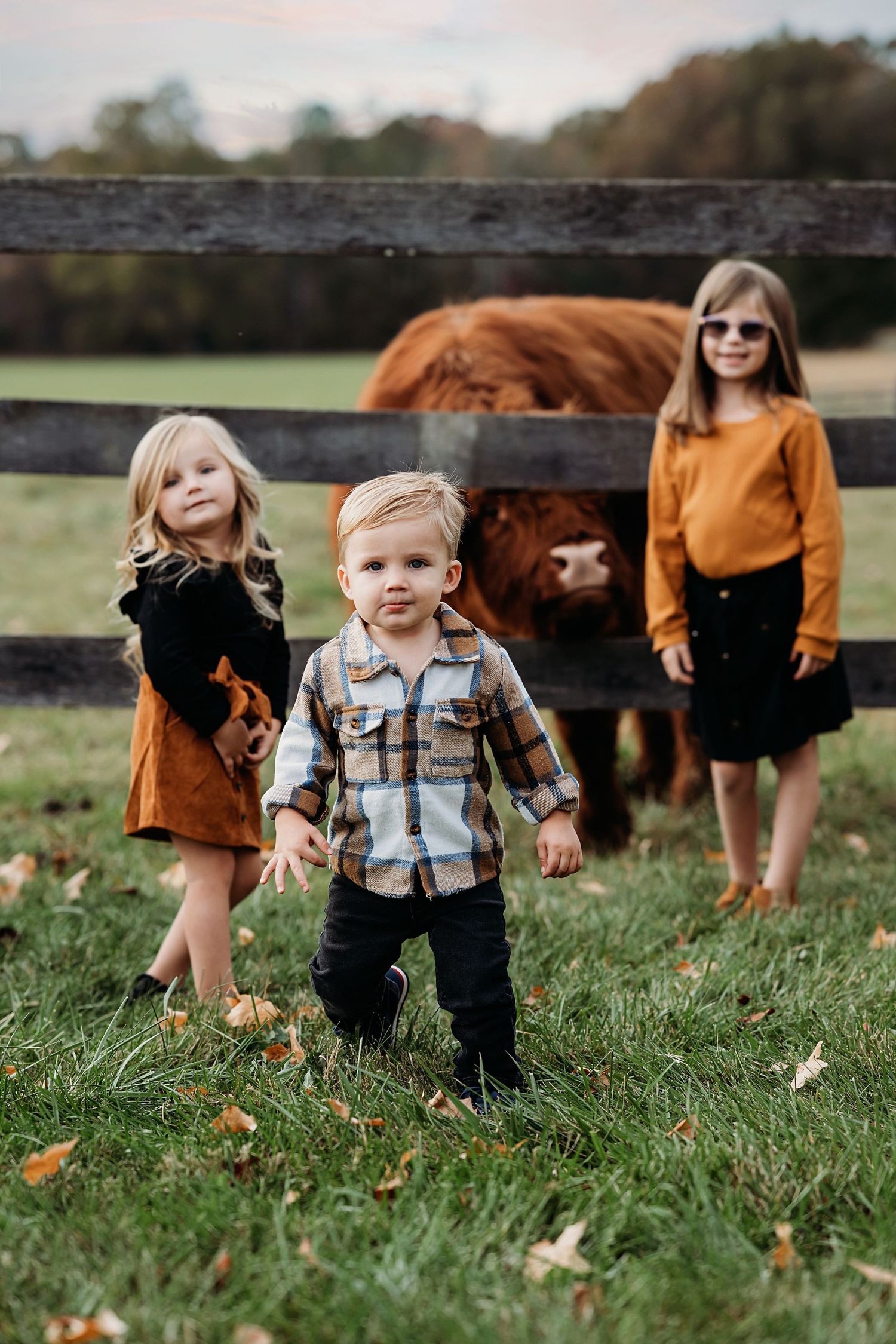 Children playing in grass near wooden fence during autumn family photoshoot.