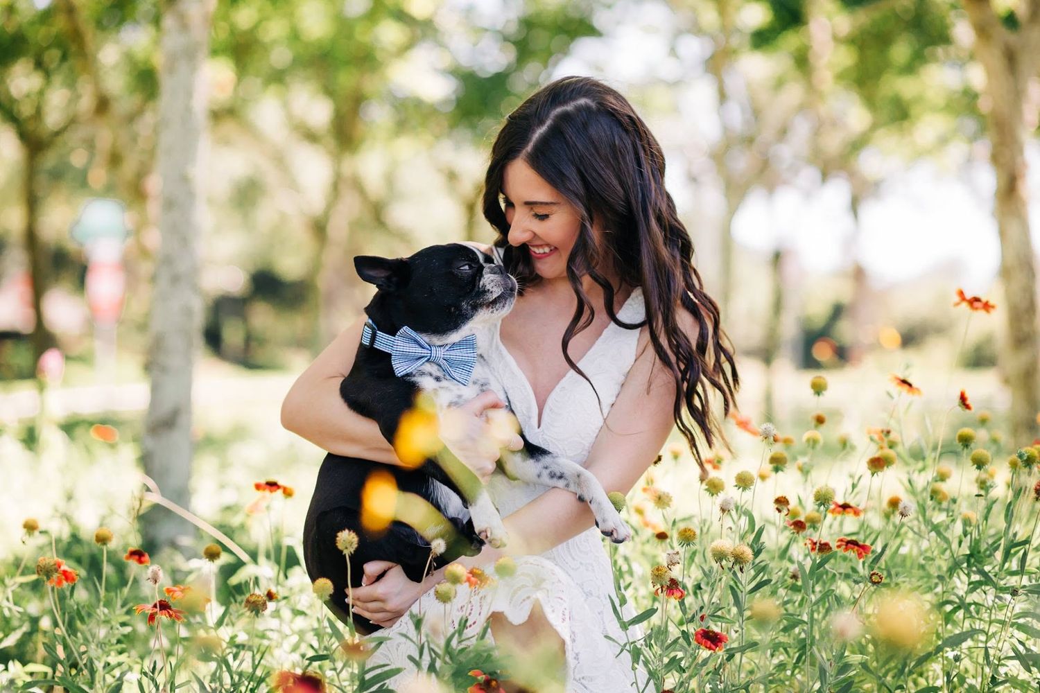 Bride in white dress holding black and white French Bulldog among wildflowers in sunny outdoor garden setting.