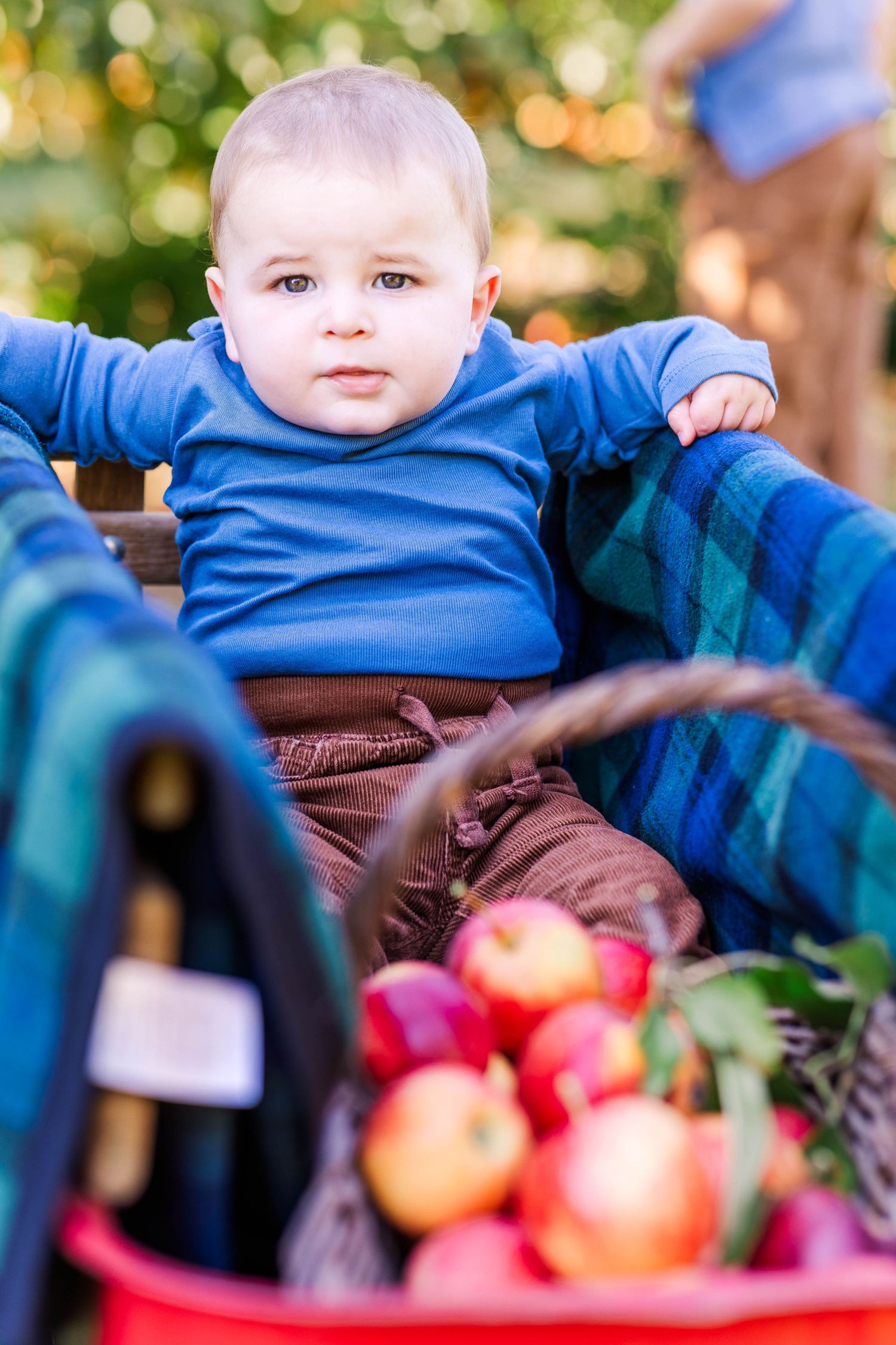 Close-up portrait of a little boy in dappled natural light — Connecticut portrait photographer Minmo Photography