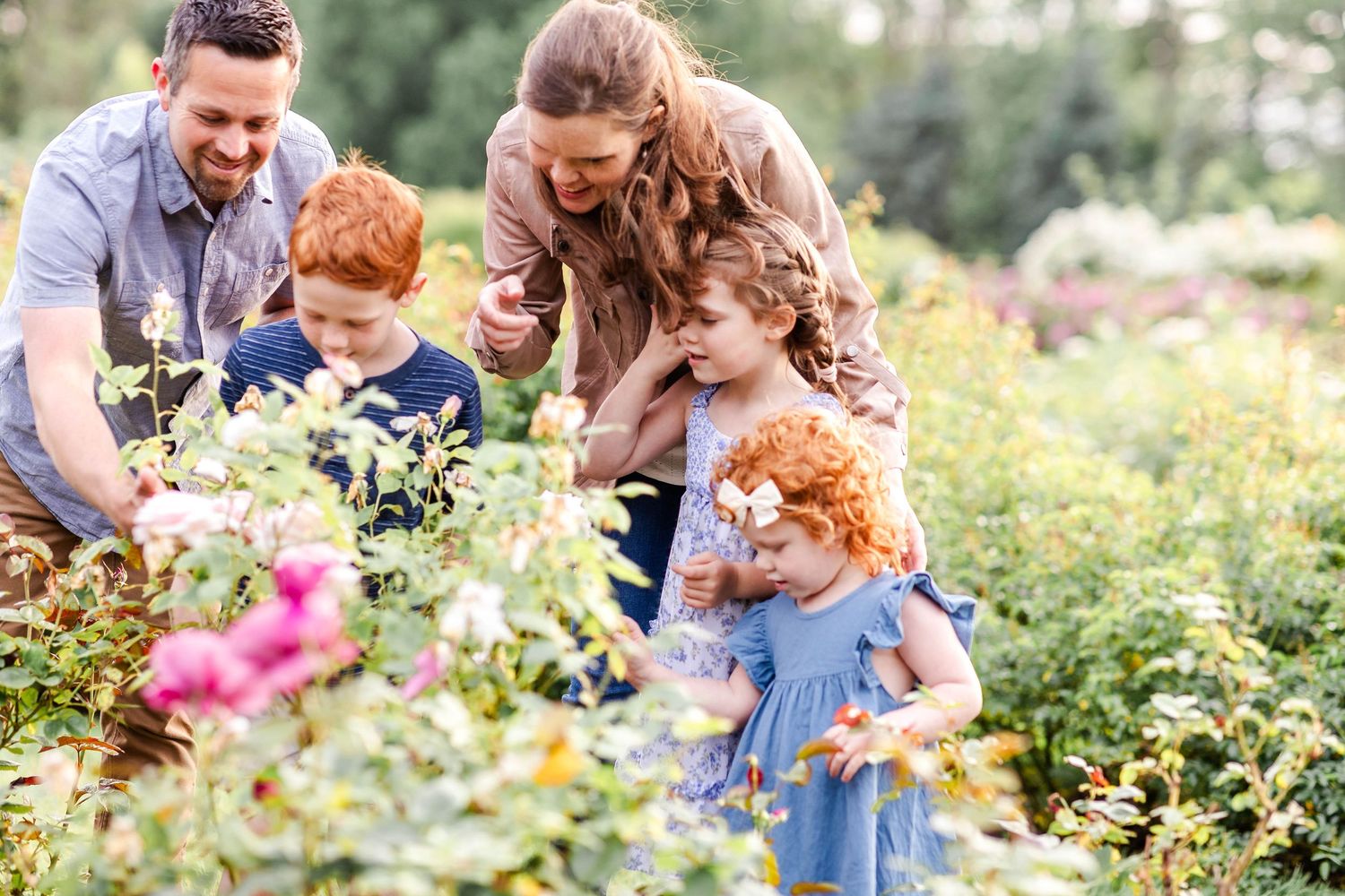 Family examining the roses at Elizabeth Park during a fun family session — Minmo Photography