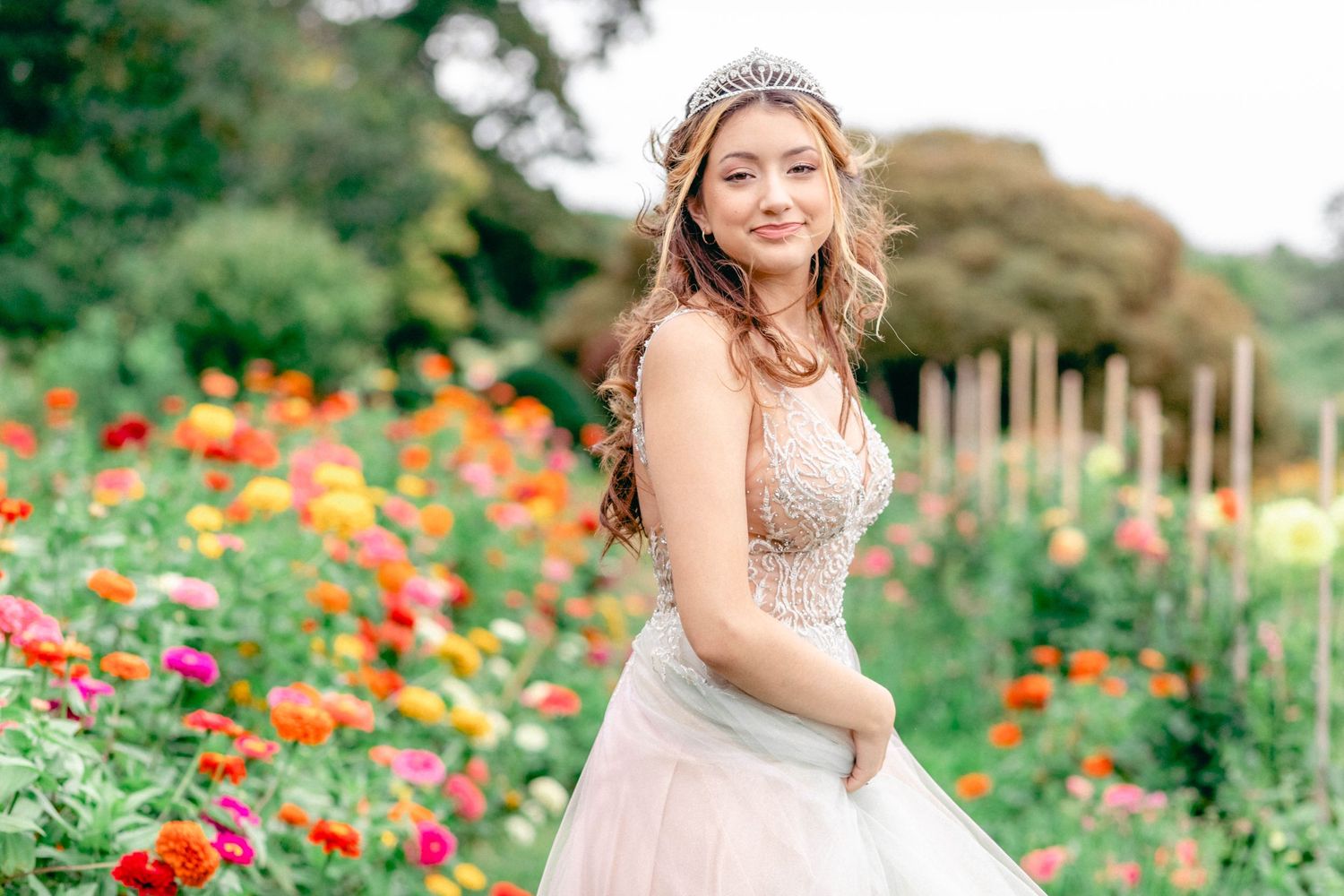 Individual portrait session in a Connecticut field during golden hour — Minmo Photography