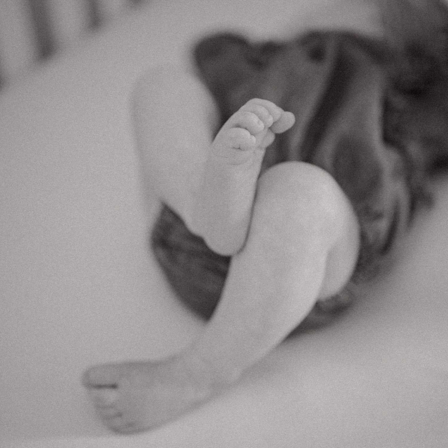 Detail photo from a newborn photography session in boise idaho