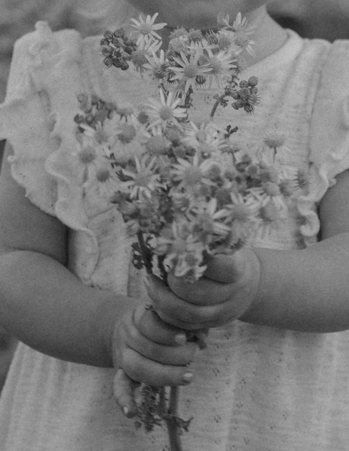 Toddler photography session in Washington