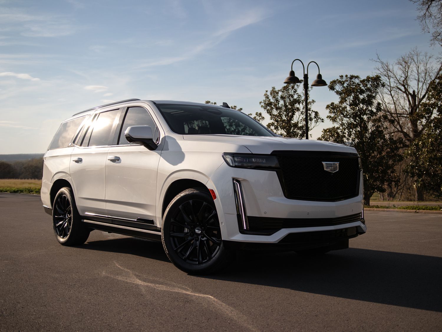 White Cadillac Escalade SUV parked on pavement with black wheels, sleek design, and trees in background on a clear day.