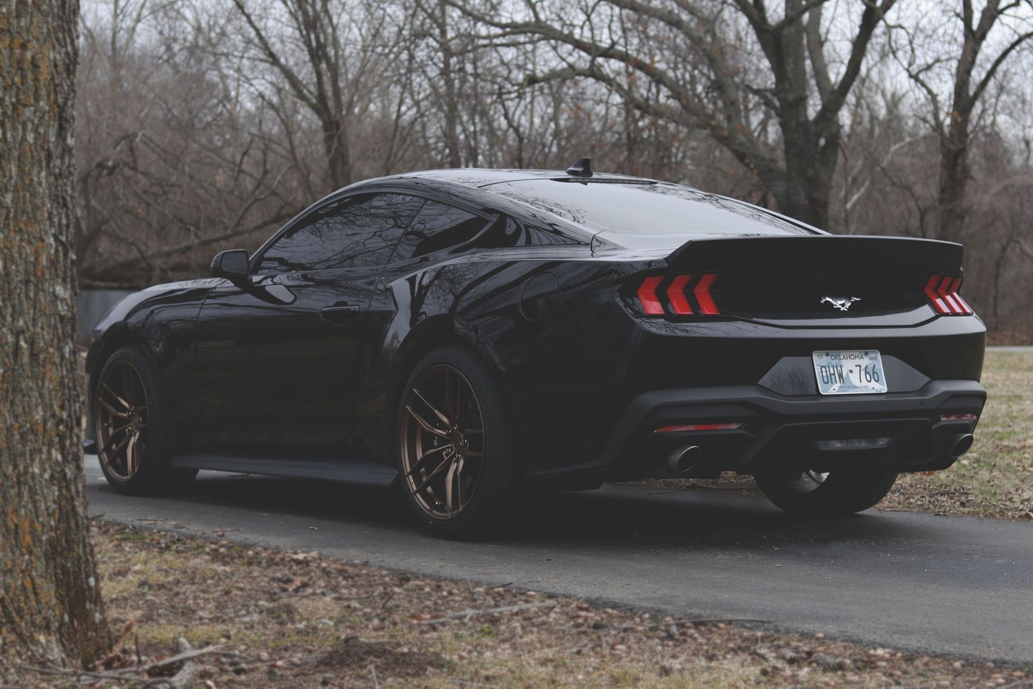 Black Ford Mustang rear view parked on a driveway surrounded by bare trees in a moody outdoor setting.