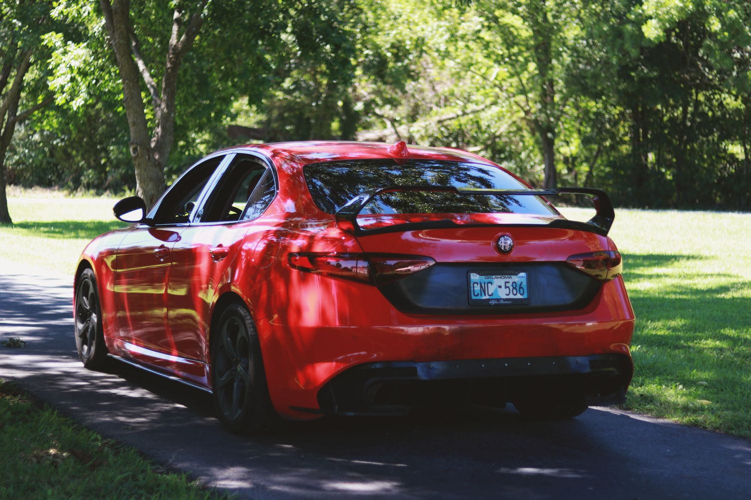 Red Ferrari sports cars parked in sequence on a tree-lined drive.