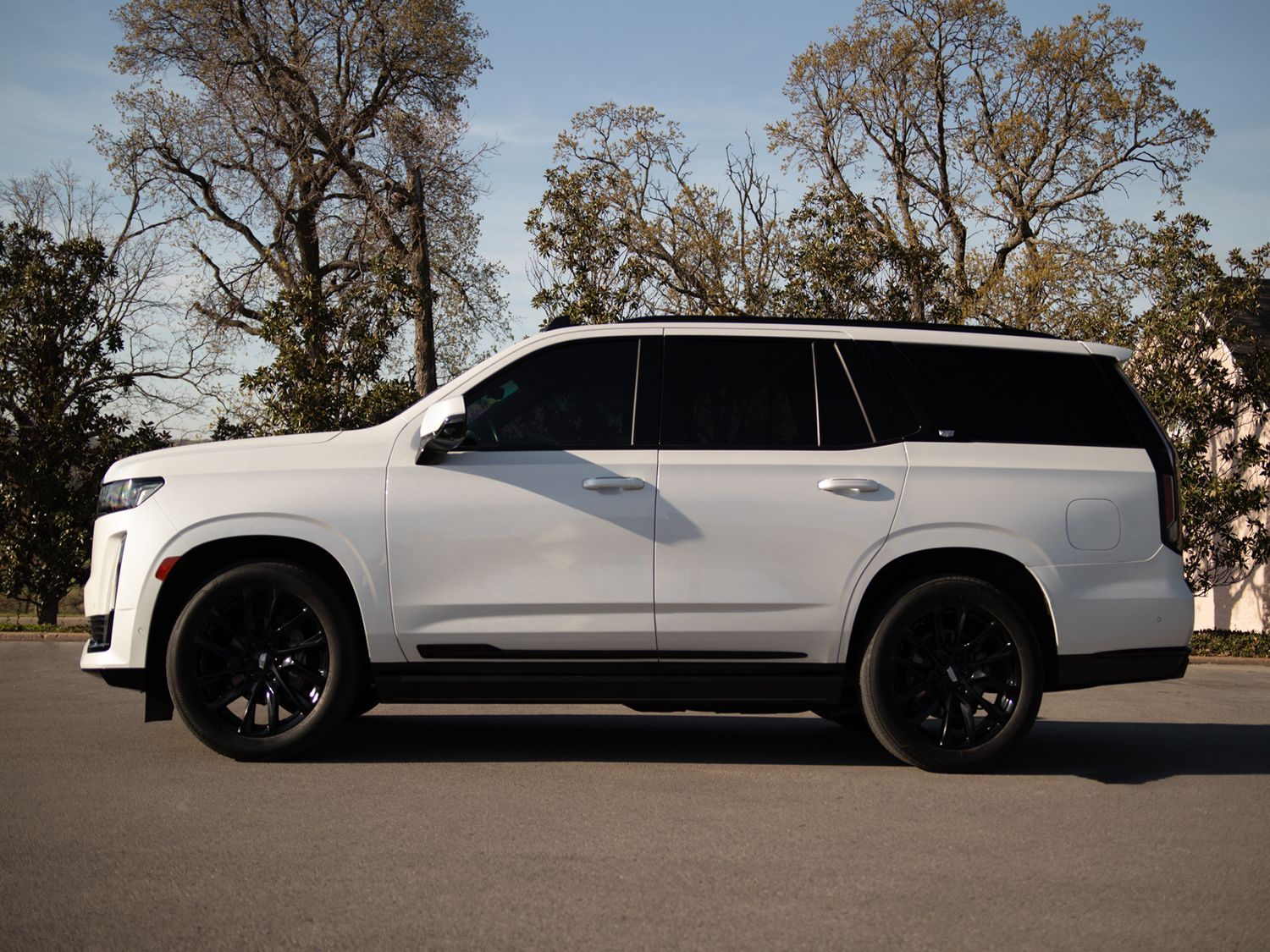 White Cadillac Escalade SUV with black wheels parked on pavement, side profile view with trees in background.