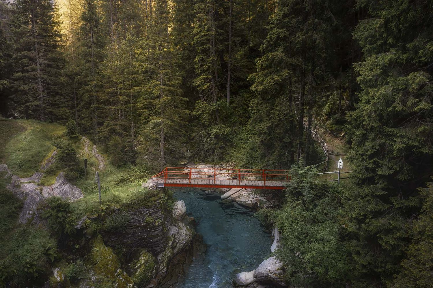 Ponte pedonale sul torrente a Val Bella nel Parco Val Calanca (Grigioni), sentiero escursionistico immerso nel bosco alpino.