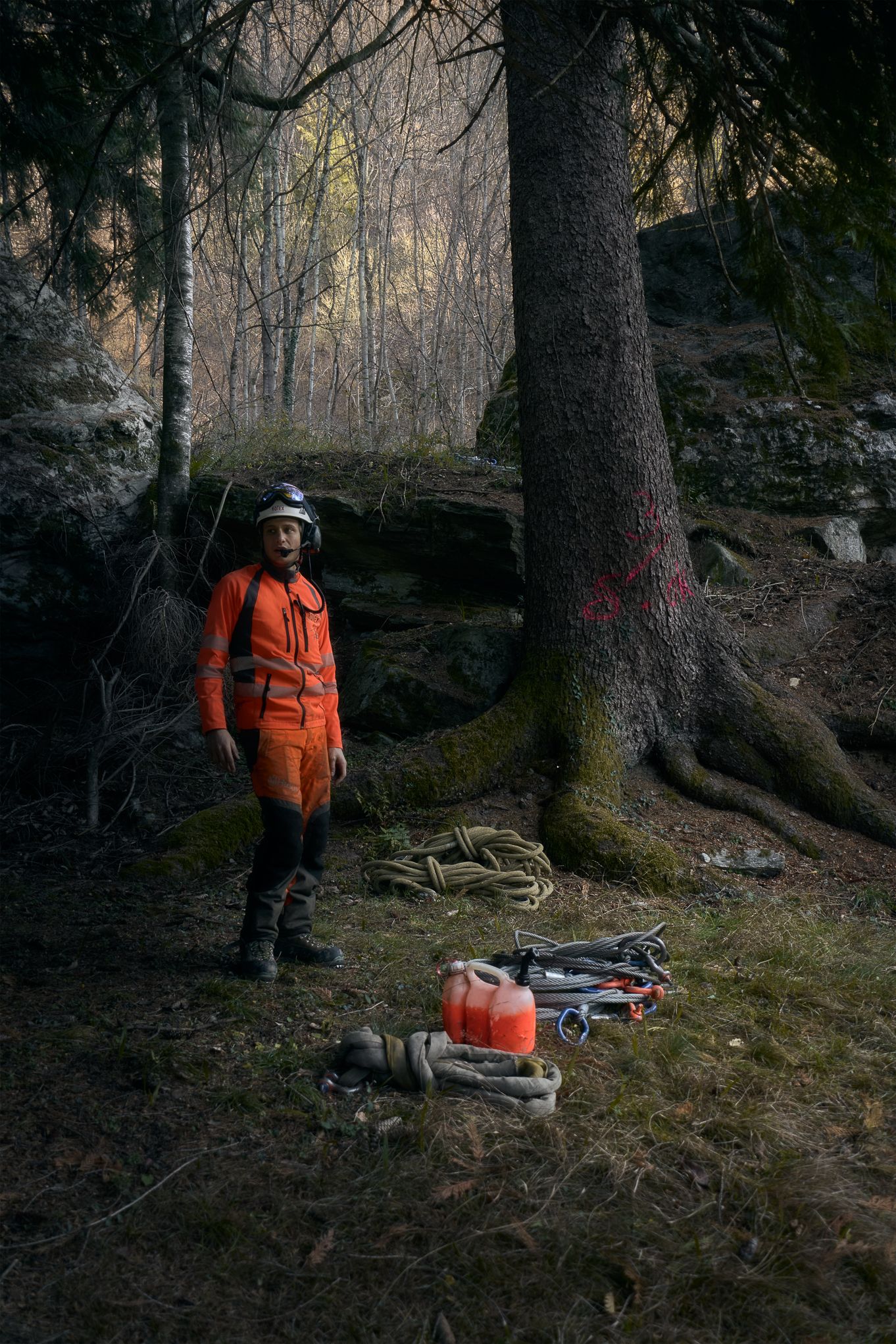 «Ritratto pittorico di un giovane boscaiolo in tuta arancione nel bosco, con attrezzi a terra e luce morbida stile Rembrandt.»