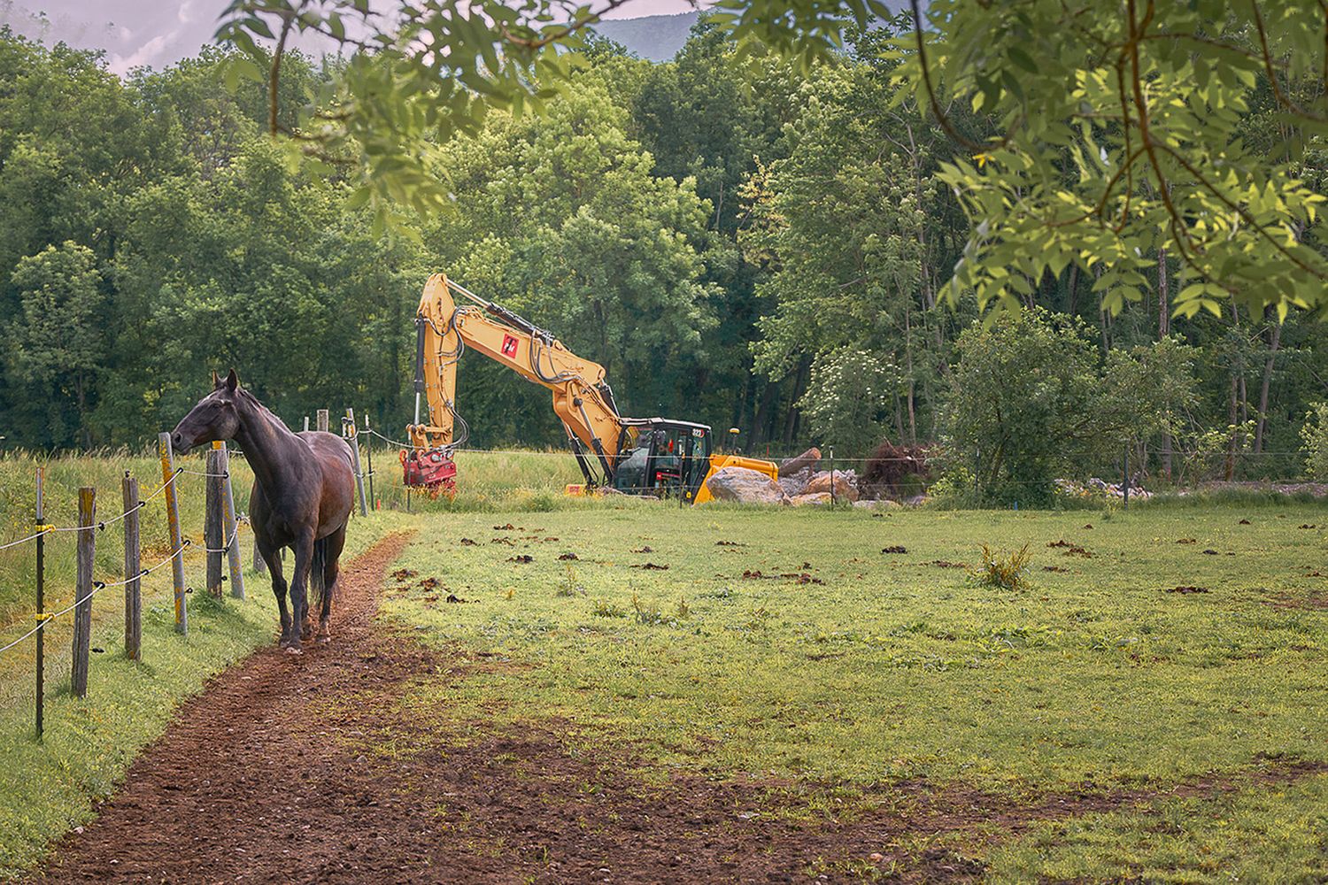 Cavallo accanto a escavatore in cantiere nel territorio alpino del Ticino – fotografia di documentazione del paesaggio e del lavoro.
