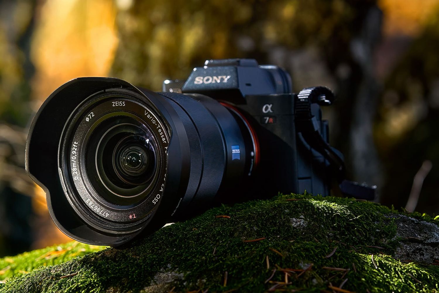 Fotocamera Sony A7R appoggiata su un tappeto di muschio nel bosco, illuminata da luce naturale.Sony A7R nel bosco – fotografia professionale
