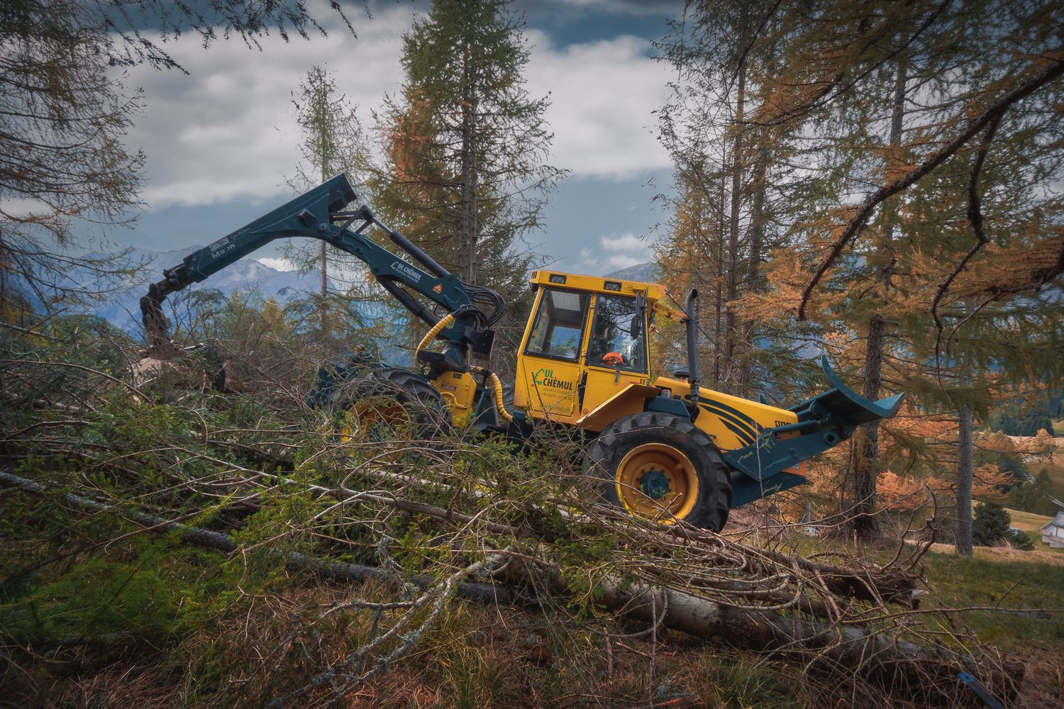 Fotografia di trattore forestale impegnato in operazioni di taglio e movimentazione del materiale legnoso