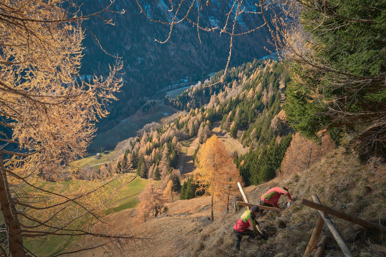 Fotografia di operai impegnati nel montaggio di ripari frangineve in una zona montana impervia