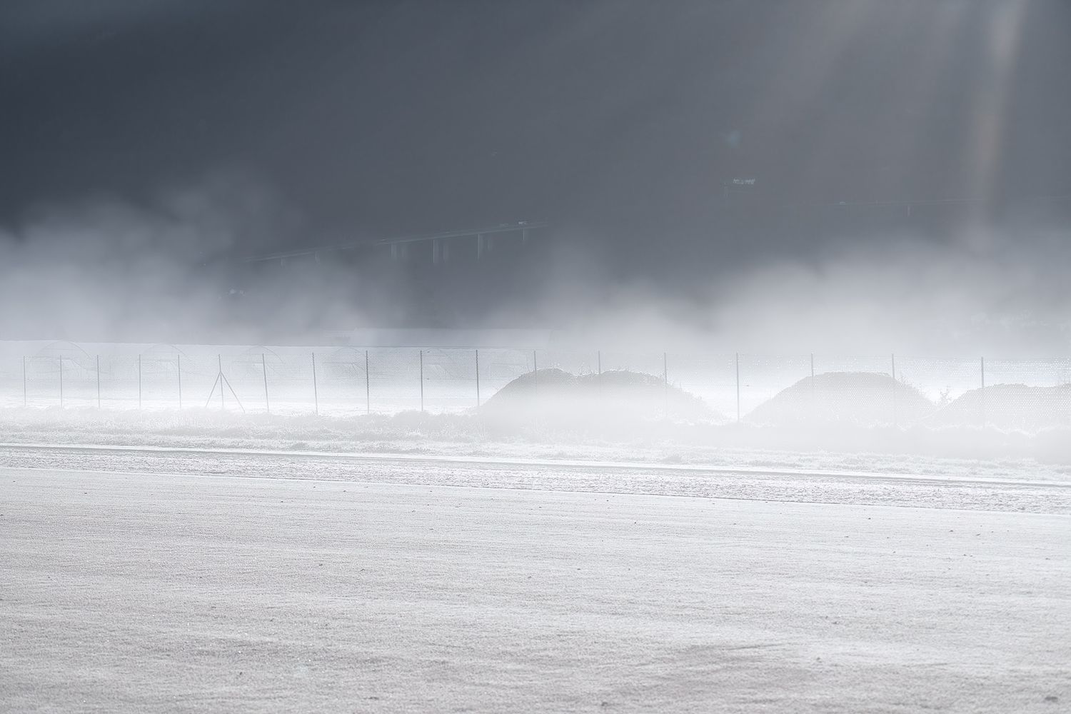 Paesaggio invernale con nebbia morbida e terreno gelato illuminato da luce diffusa; atmosfera silenziosa tra ghiaccio, forma e presenza.