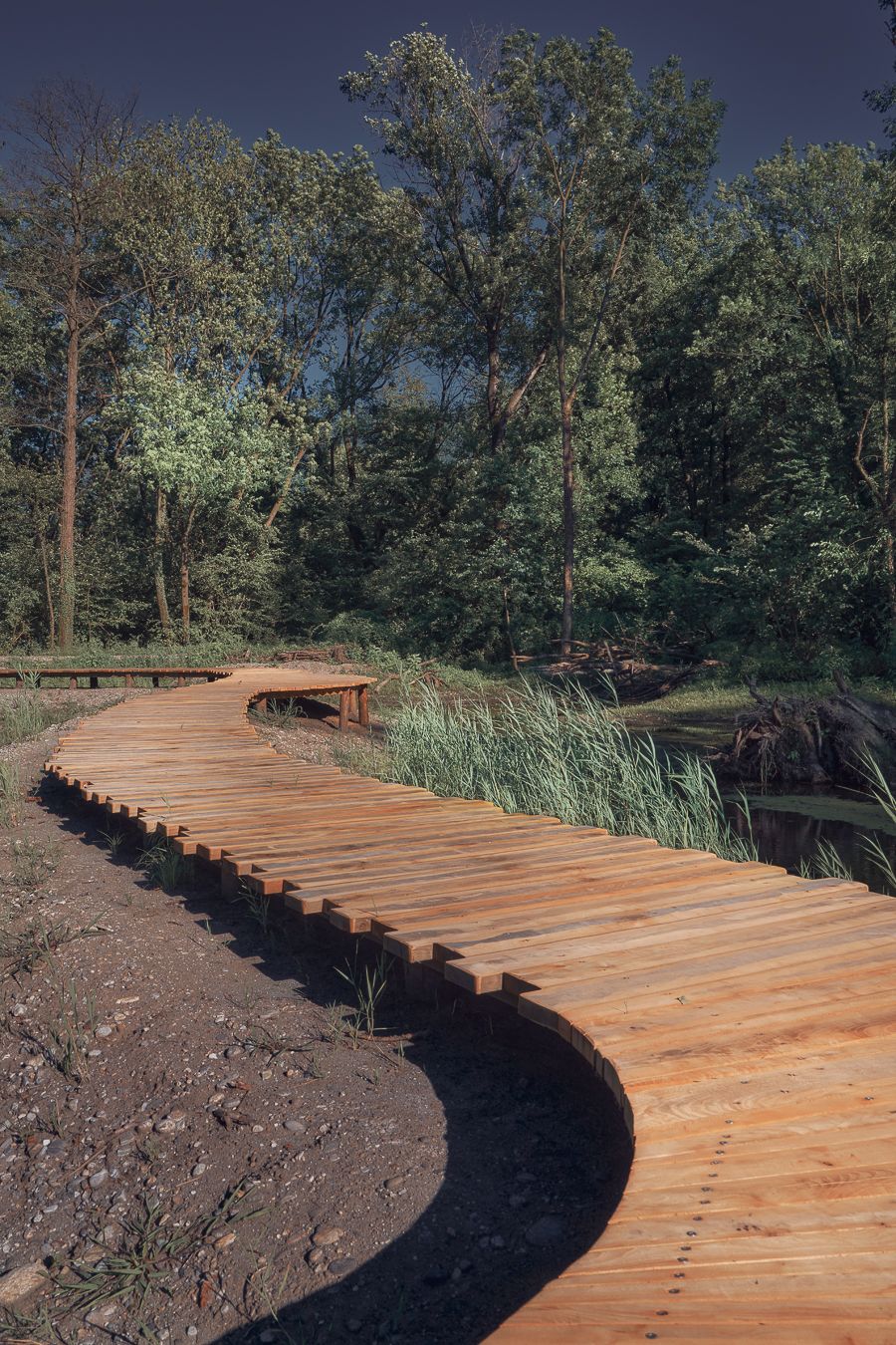 Fotografia di nuova passerella sopra area paludosa realizzata nel Parco del Piano di Magadino