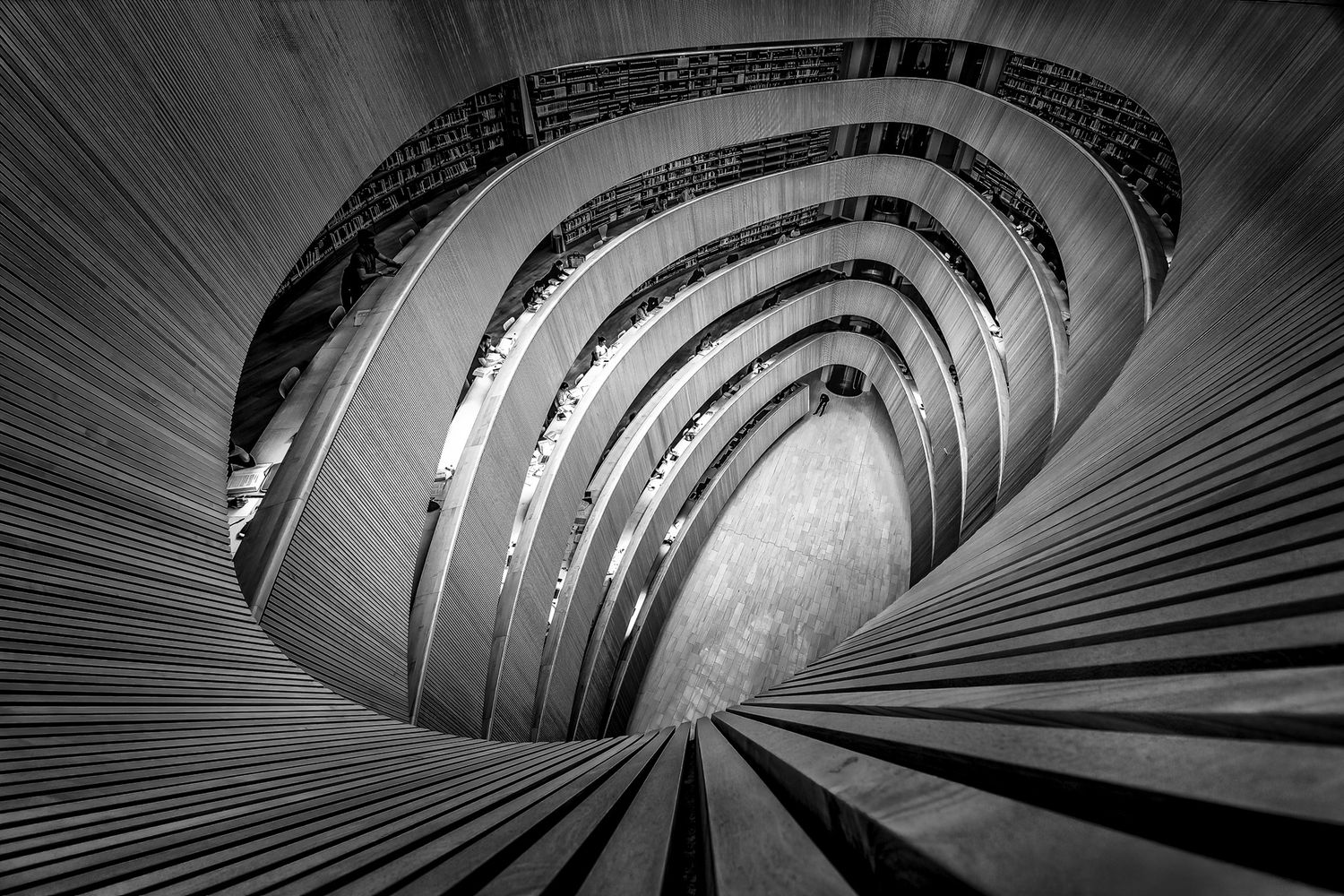 Interno della biblioteca universitaria di Zurigo. Linee curve e luce naturale disegnano uno spazio fluido e abitato.