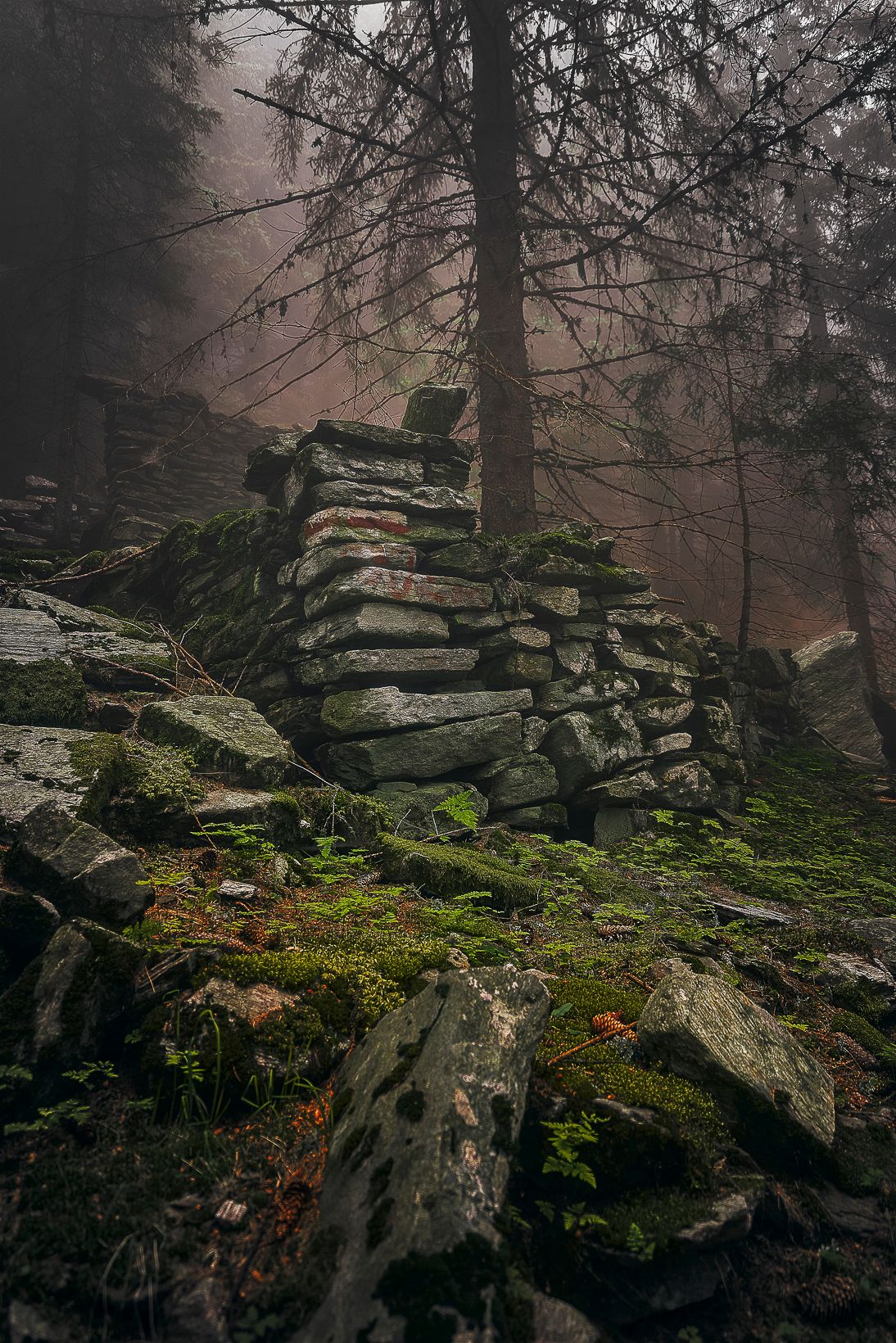 Rovine di pietra nel bosco avvolto dalla nebbia. Tracce di un abitare antico dove luce e silenzio raccontano presenza e memoria.