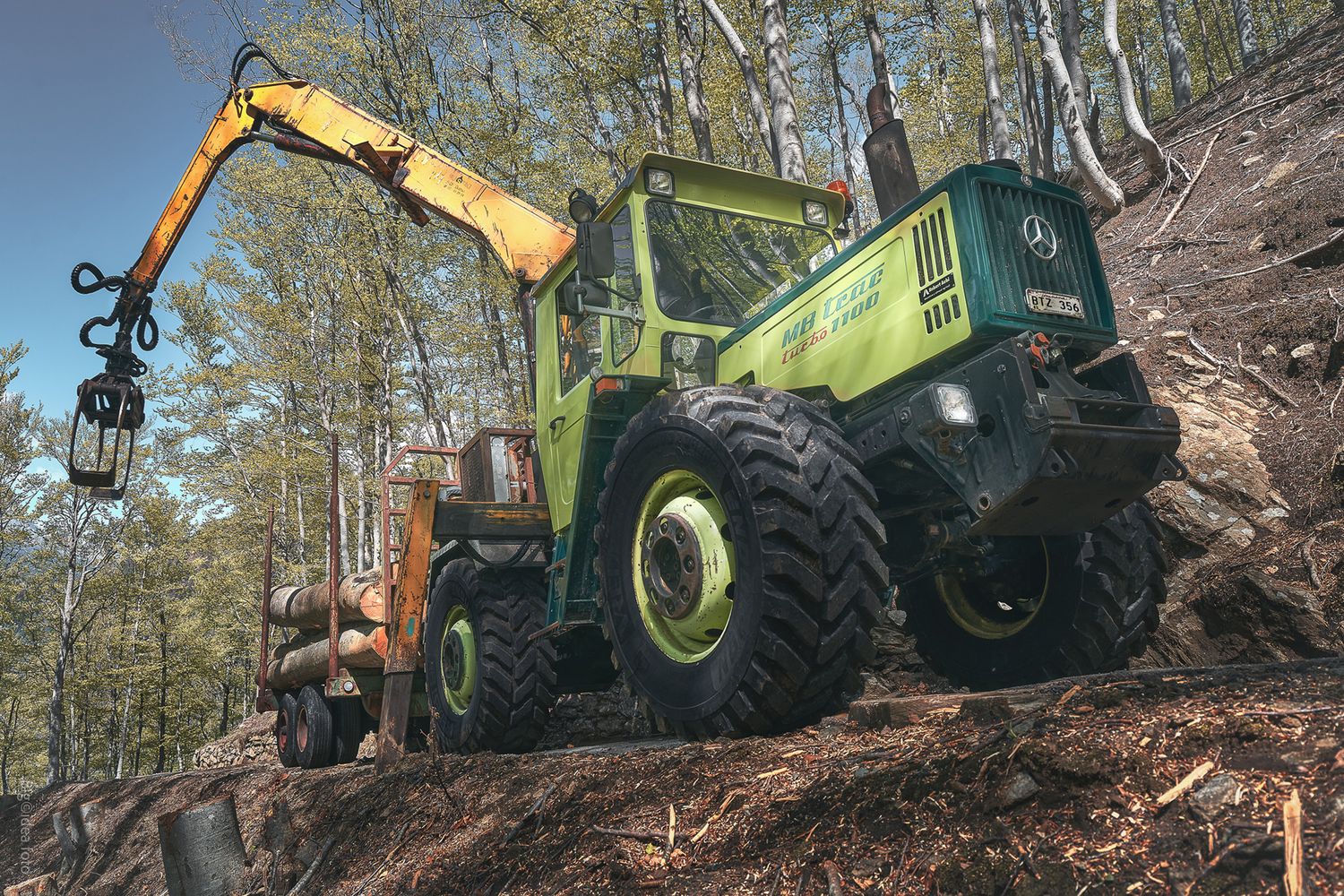 Fotografia di lavori forestali in bosco di larici con mezzo MB Trac durante le operazioni di carico del legname