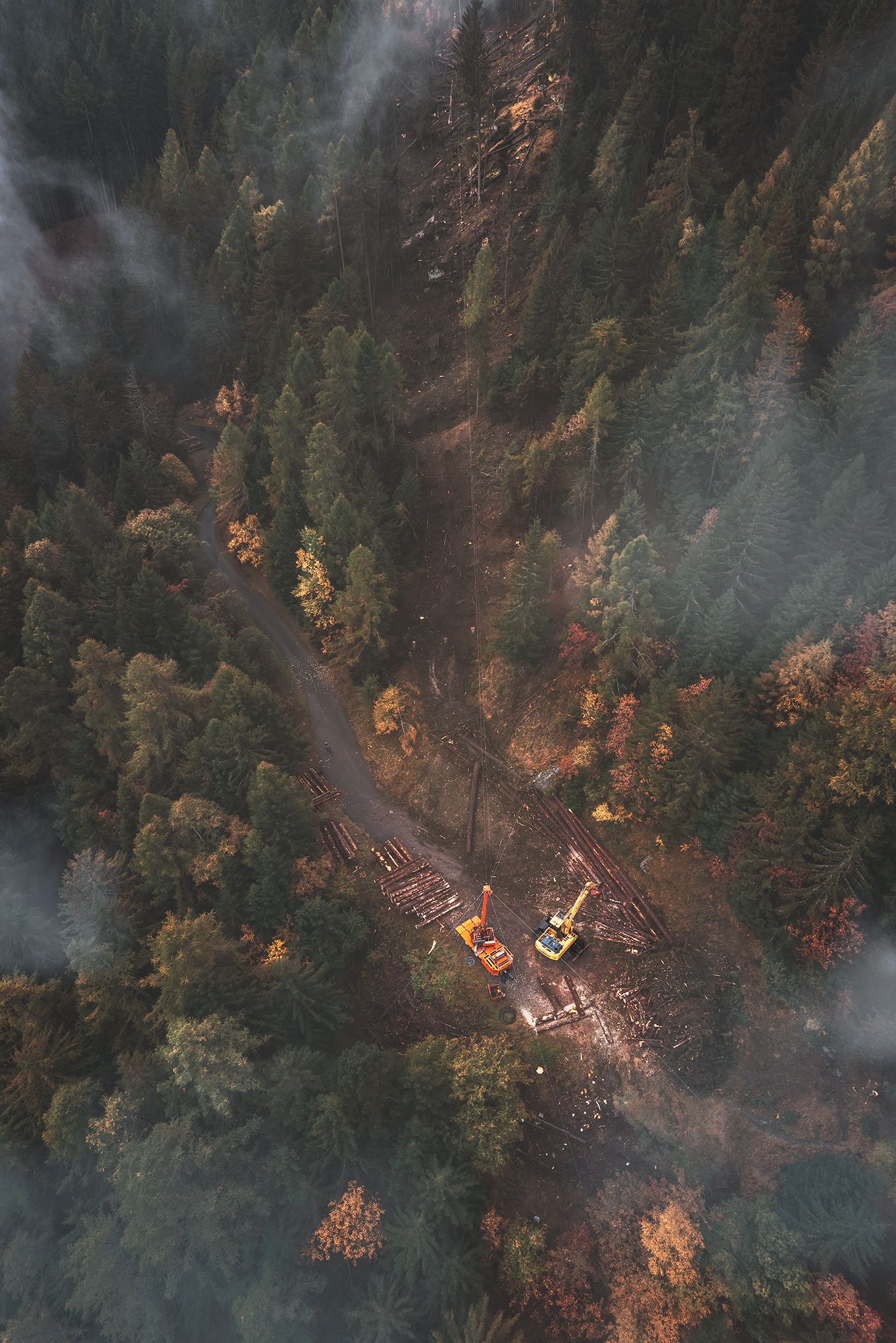 Fotografia aerea di cantiere forestale con mezzi operativi e teleferica per il trasporto del legname
