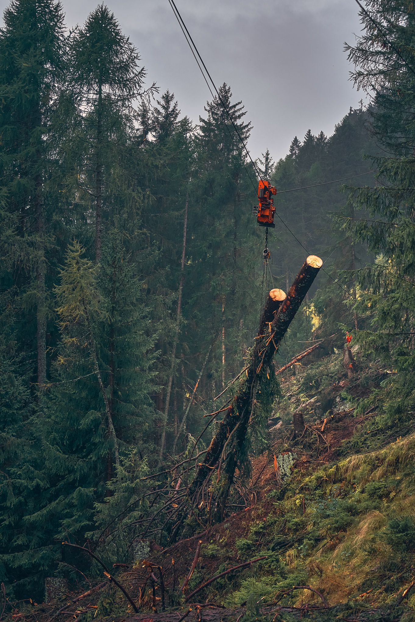 Fotografia di cantiere forestale con teleferica in funzione durante il trasporto di un grande carico di rami