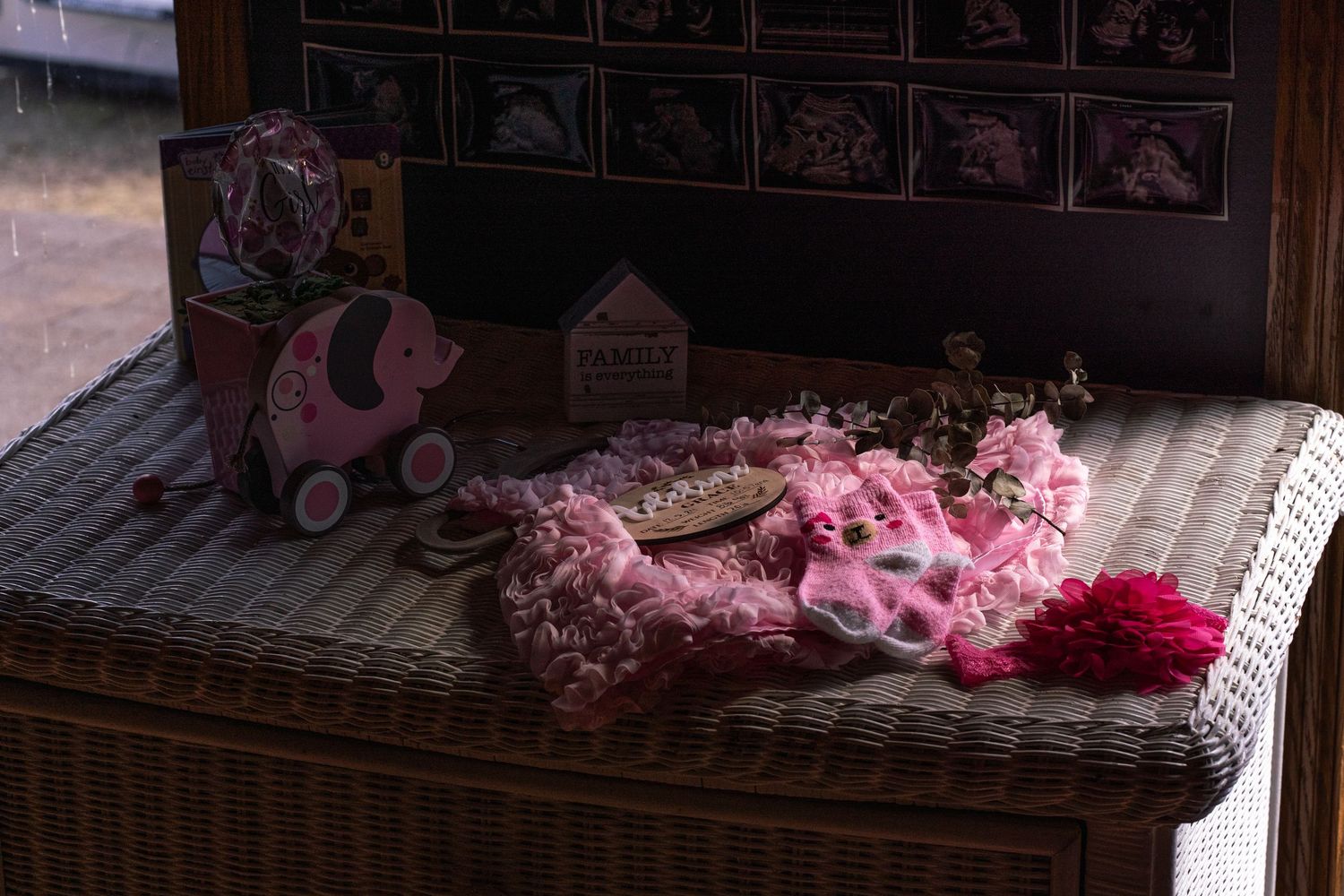 Family photos by Coley Rose Co.