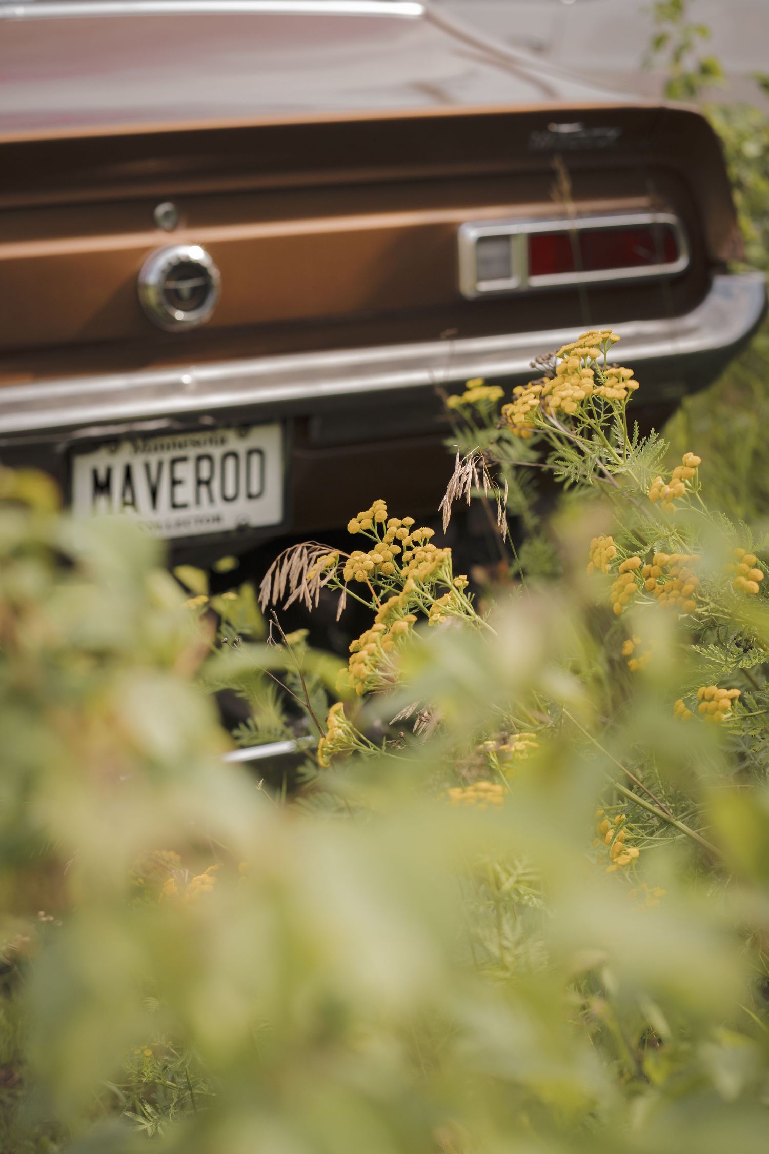 Vintage car photography in Deer Creek Minnesota