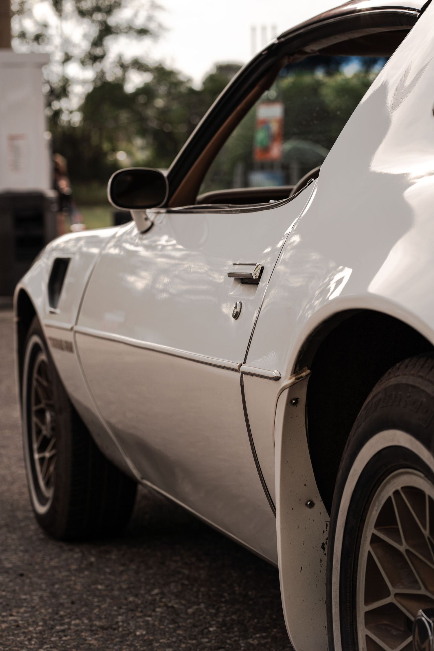Vintage car photography of a Pontiac Trans Am in Deer Creek Minnesota