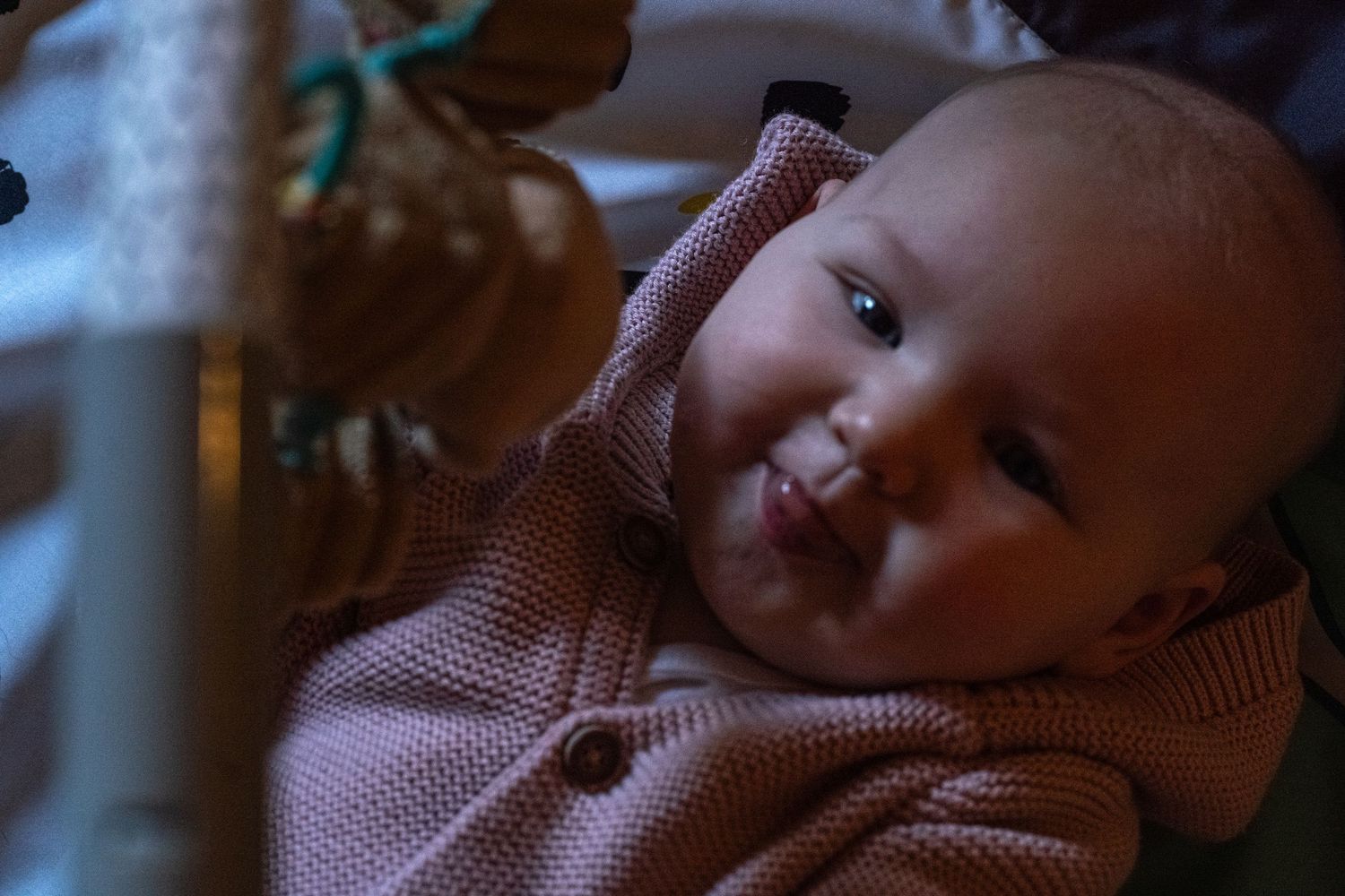 Family photos by Coley Rose Co.