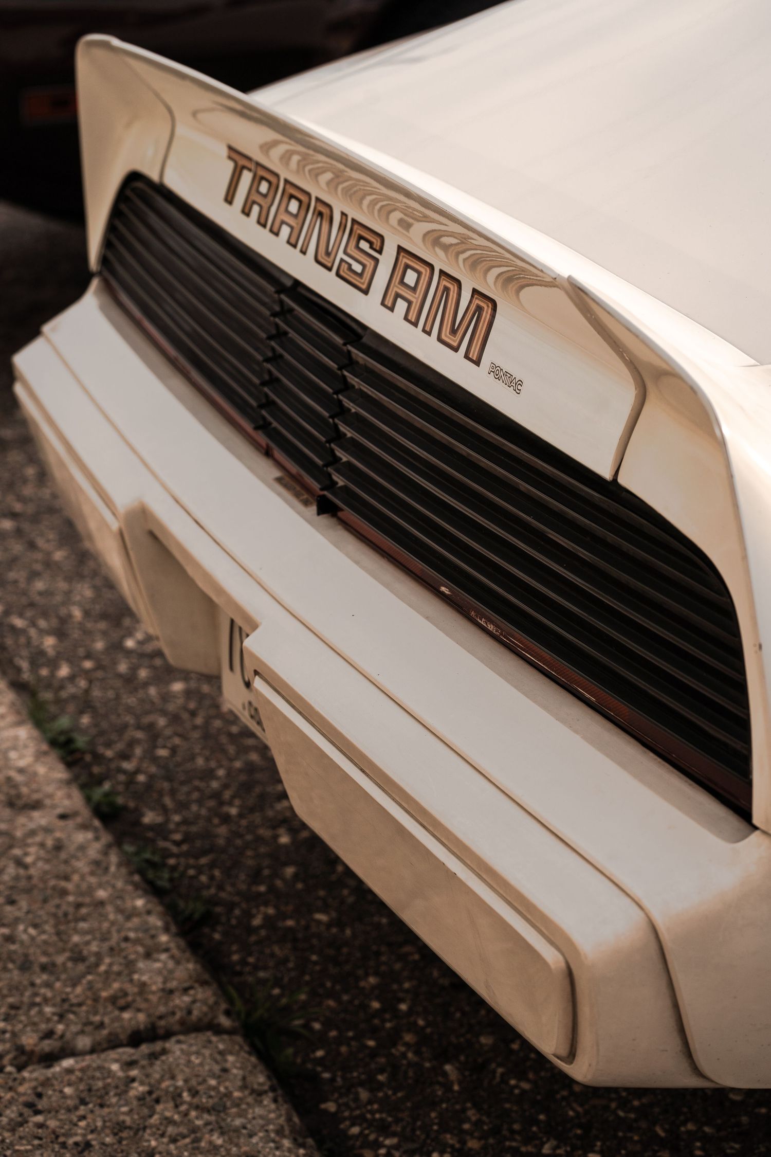 Vintage car photography of a Pontiac Trans Am in Deer Creek Minnesota