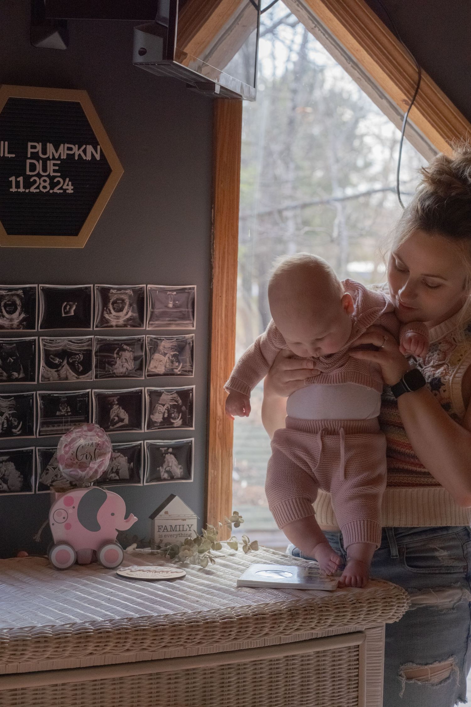 Family photos by Coley Rose Co.