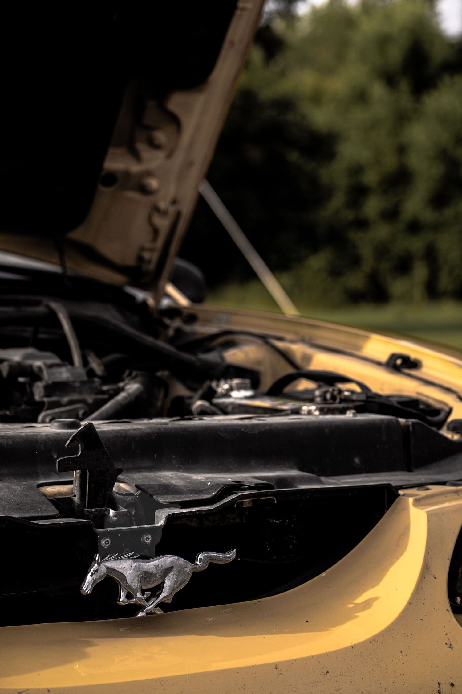 Vintage car photography in Deer Creek Minnesota