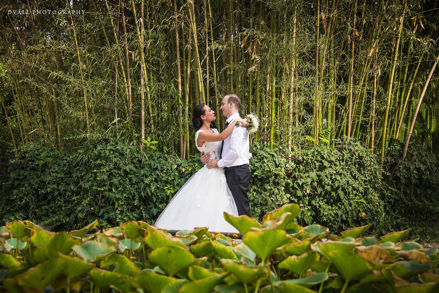 Wedding photography session in a lush bamboo garden with natural greenery.