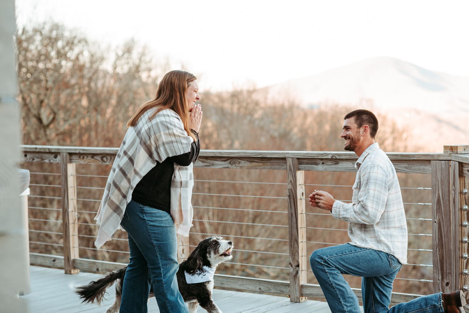 a proposal with a dog in front of mountains